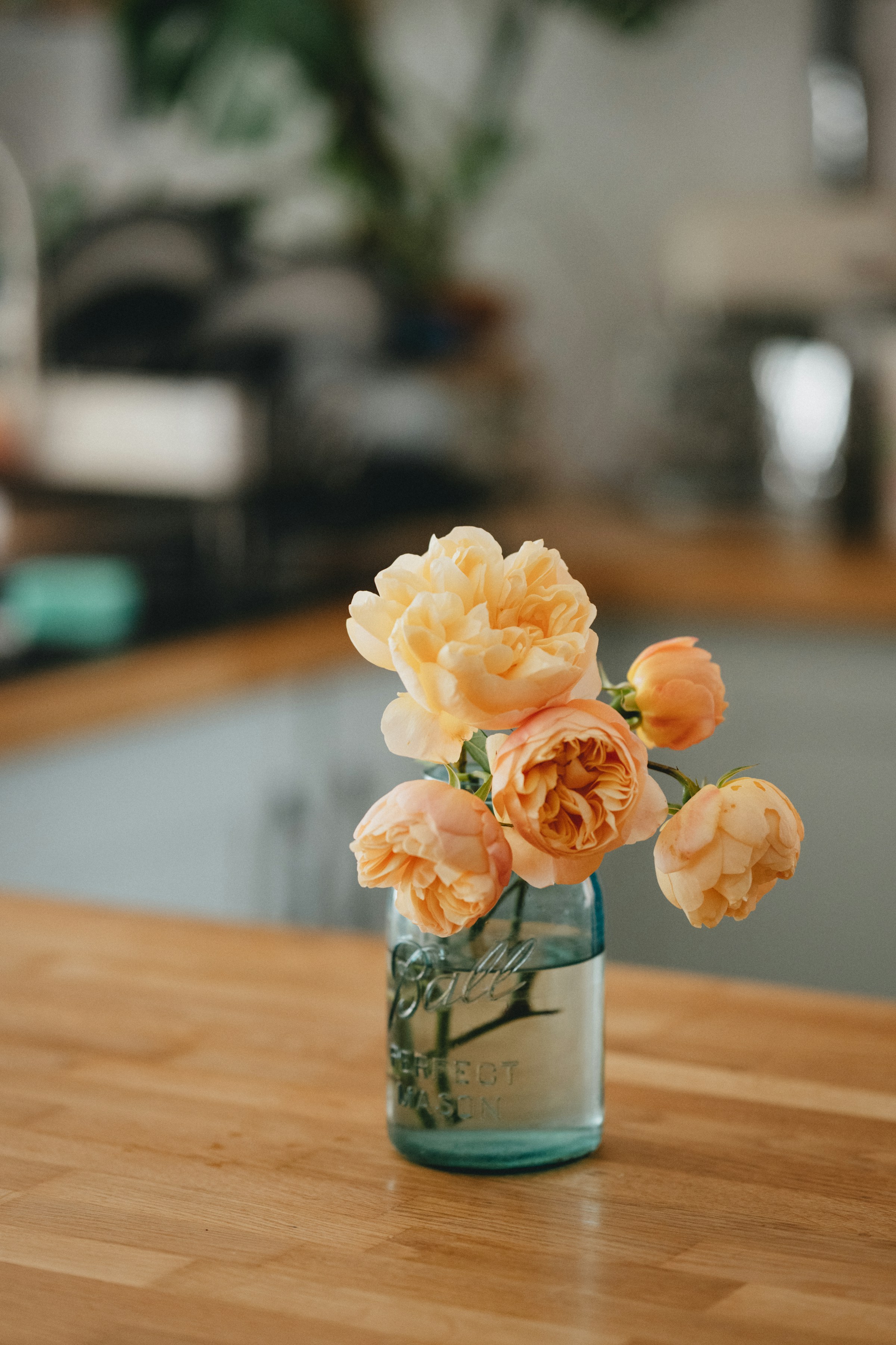 Vase mit Blumen | Quelle: Unsplash