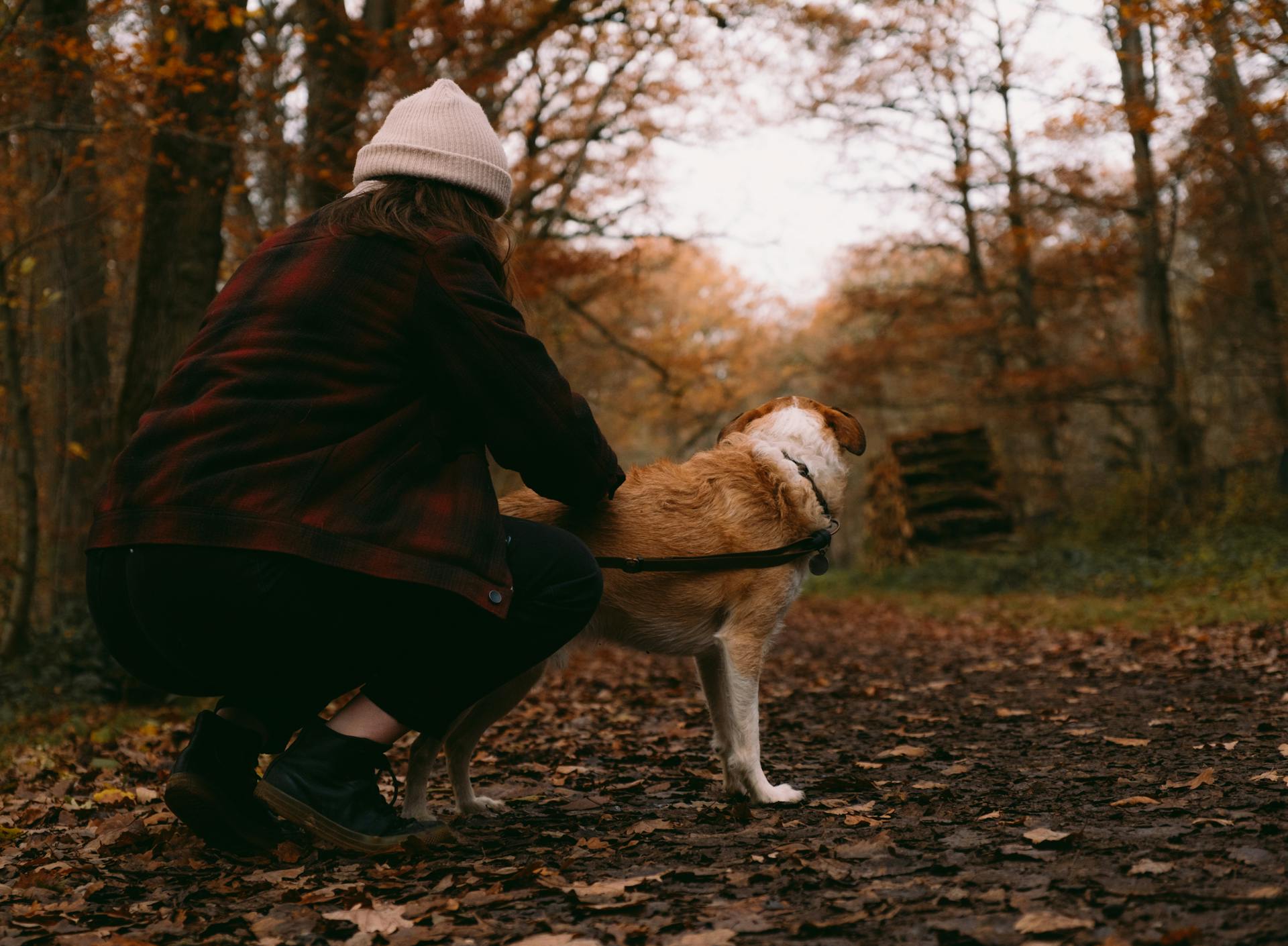 Eine Frau in einem Park mit ihrem Hund | Quelle: Pexels