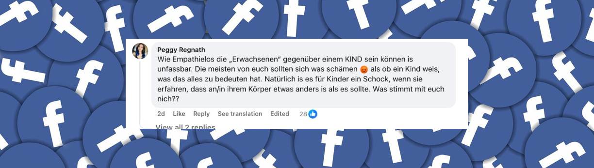 User schreibt Kommentar zu Lailas Video und zeigt sich geschockt über das Verhalten anderer Nutzer. | Quelle: facebook.com/punkt12
