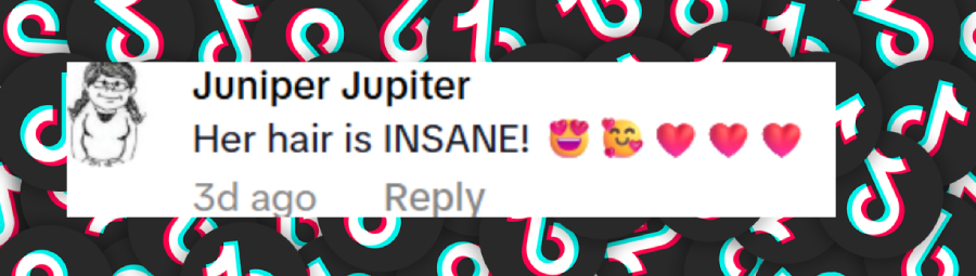 Ein Fan-Kommentar vom 18. Juni 2025 | Quelle: TikTok/PinkNews