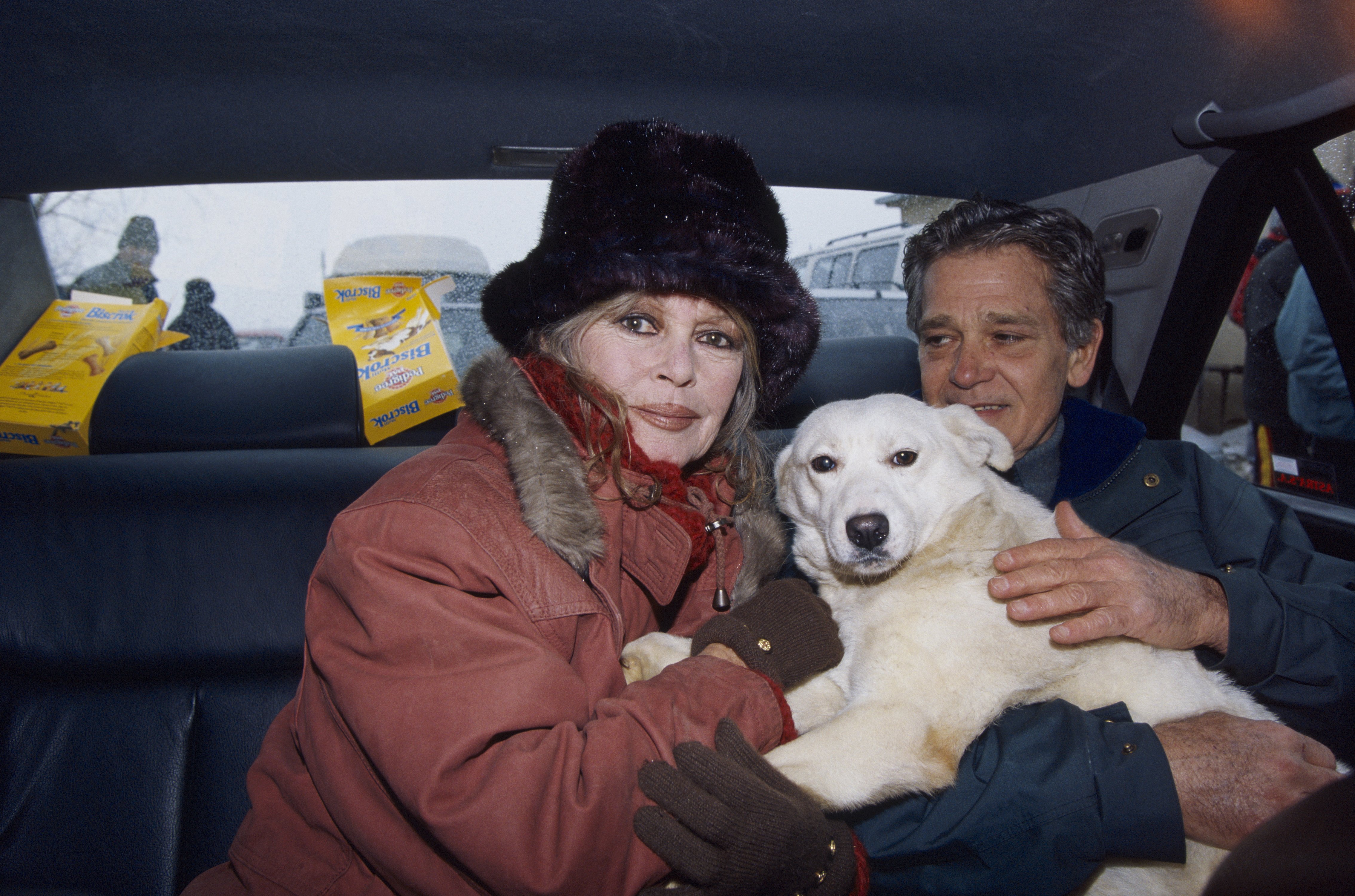 Brigitte Bardot und ihr Ehemann Bernard d'Ormale zusammen im Auto mit einem Hund, Februar 1998 | Quelle: Getty Images