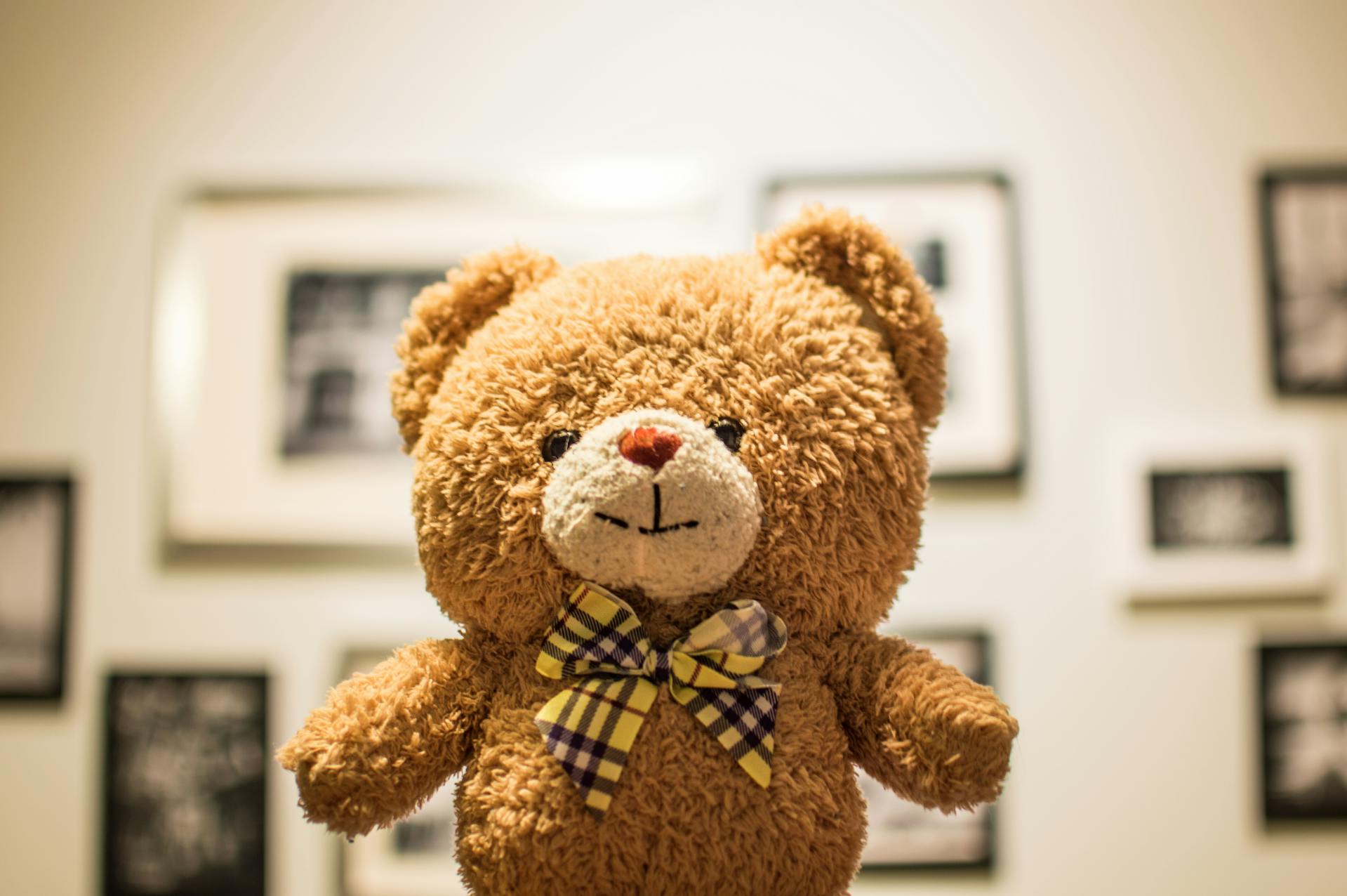 Ein brauner Teddybär | Quelle: Pexels