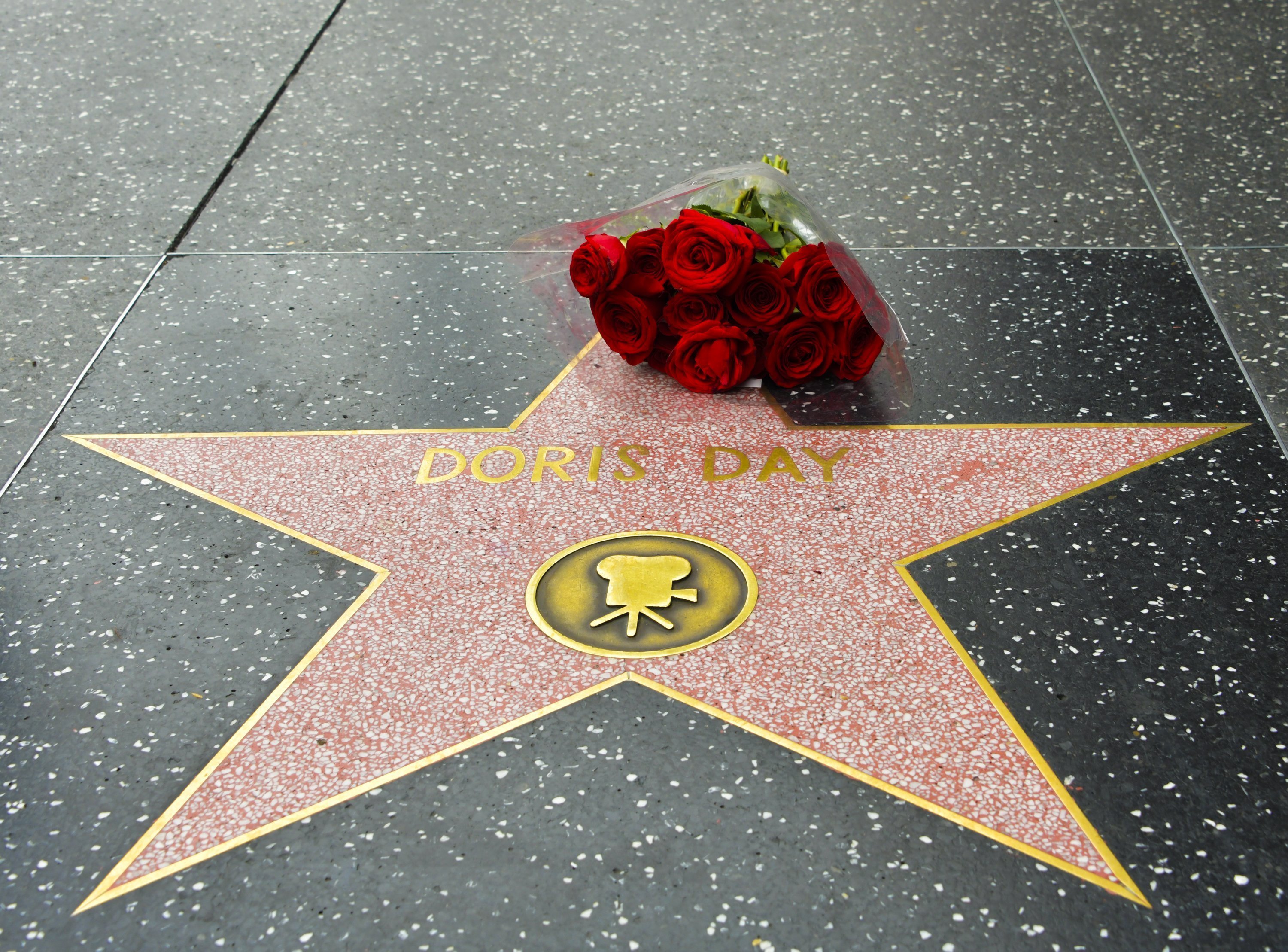 Doris Day Hollywood-Stern | Quelle: Getty Images