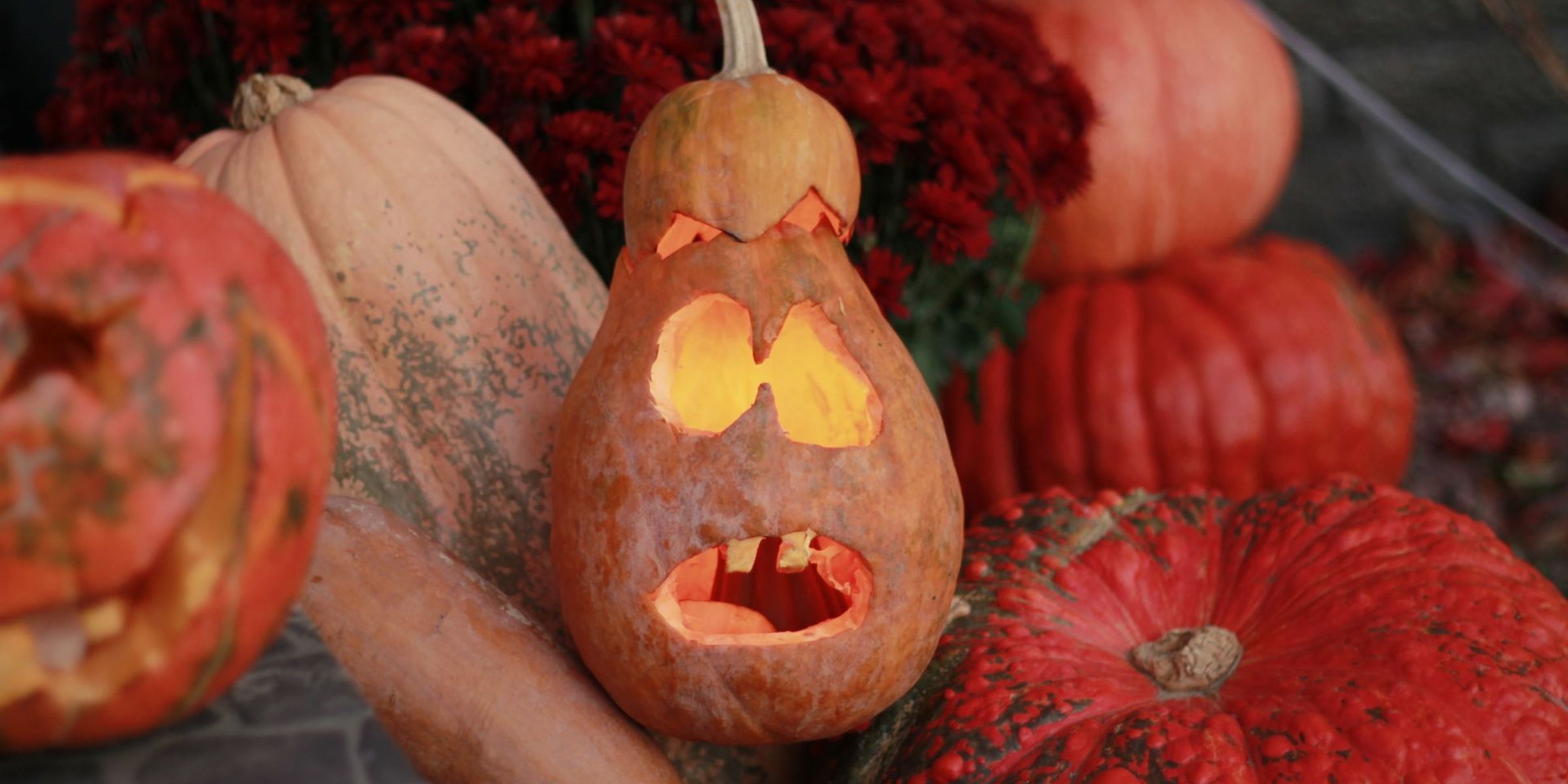 Halloween-Dekorationen | Quelle: Pexels