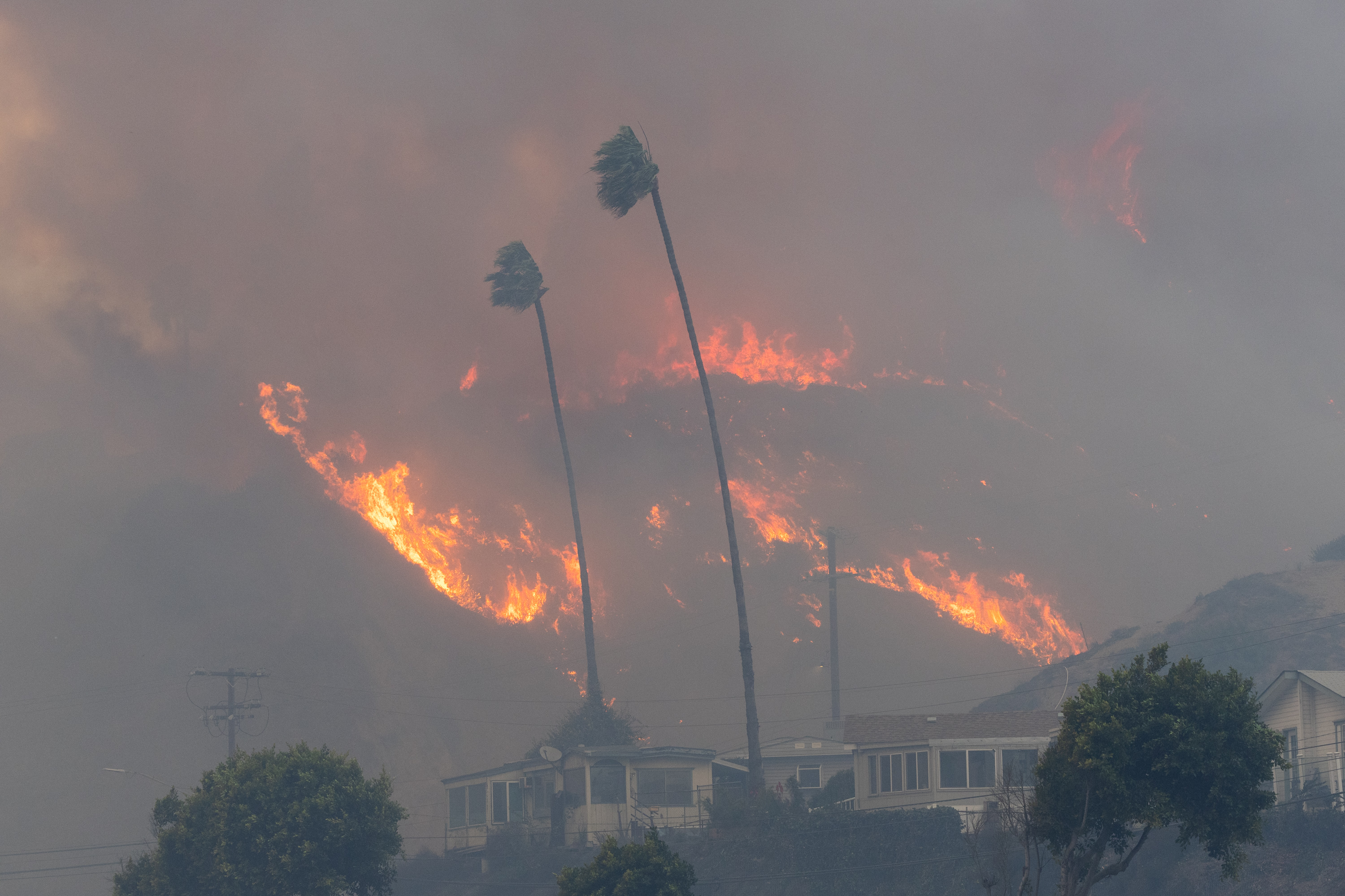 Ein Buschfeuer bricht in Pacific Palisades, Kalifornien, am 7. Januar 2025 aus. | Quelle: Getty Images