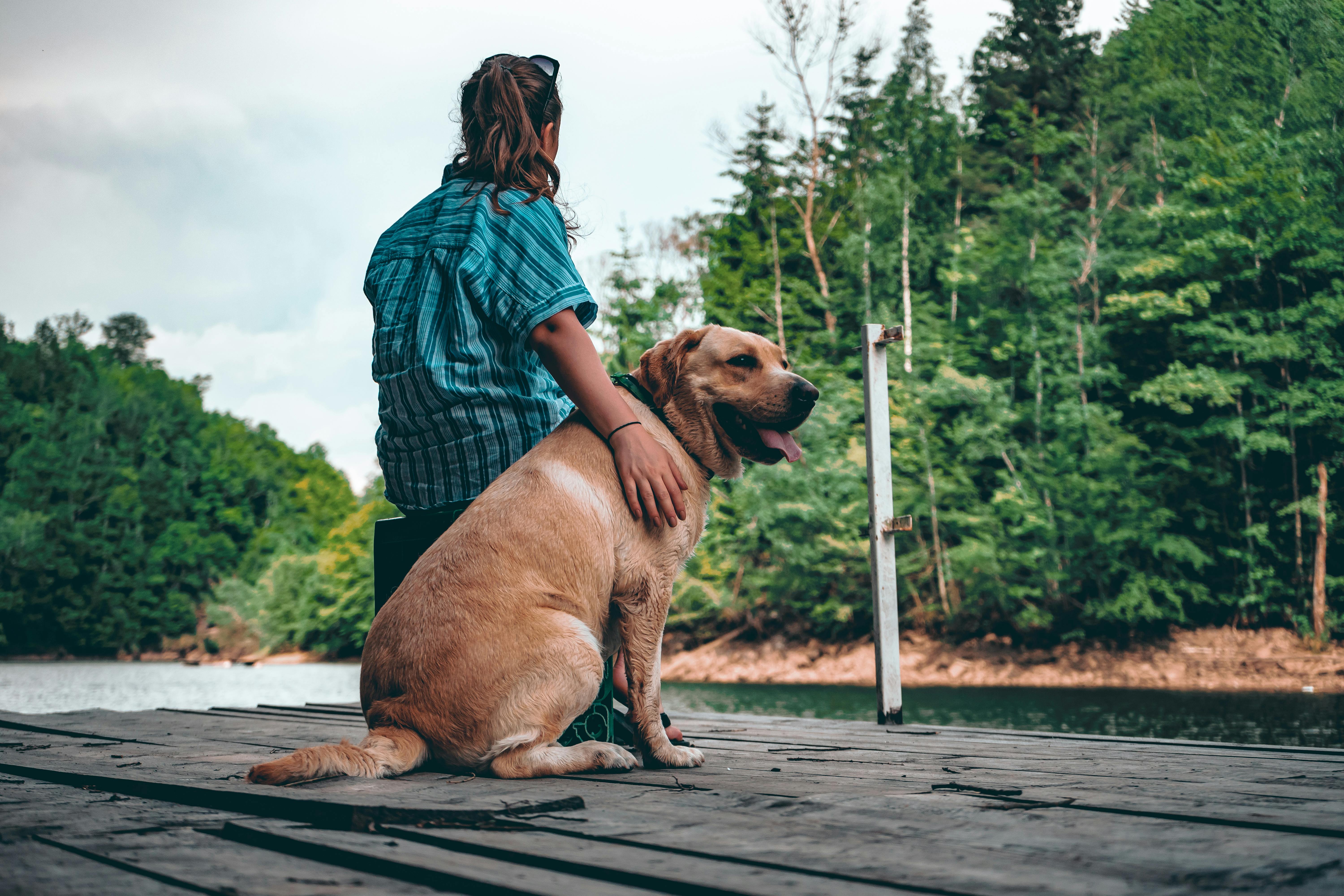 eine Frau mit ihrem Hund | Quelle: Pexels