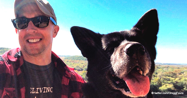 Feuerwehrmann trauert um Verlust von Rettungshund in einem herzlichen Beitrag, der viral wird