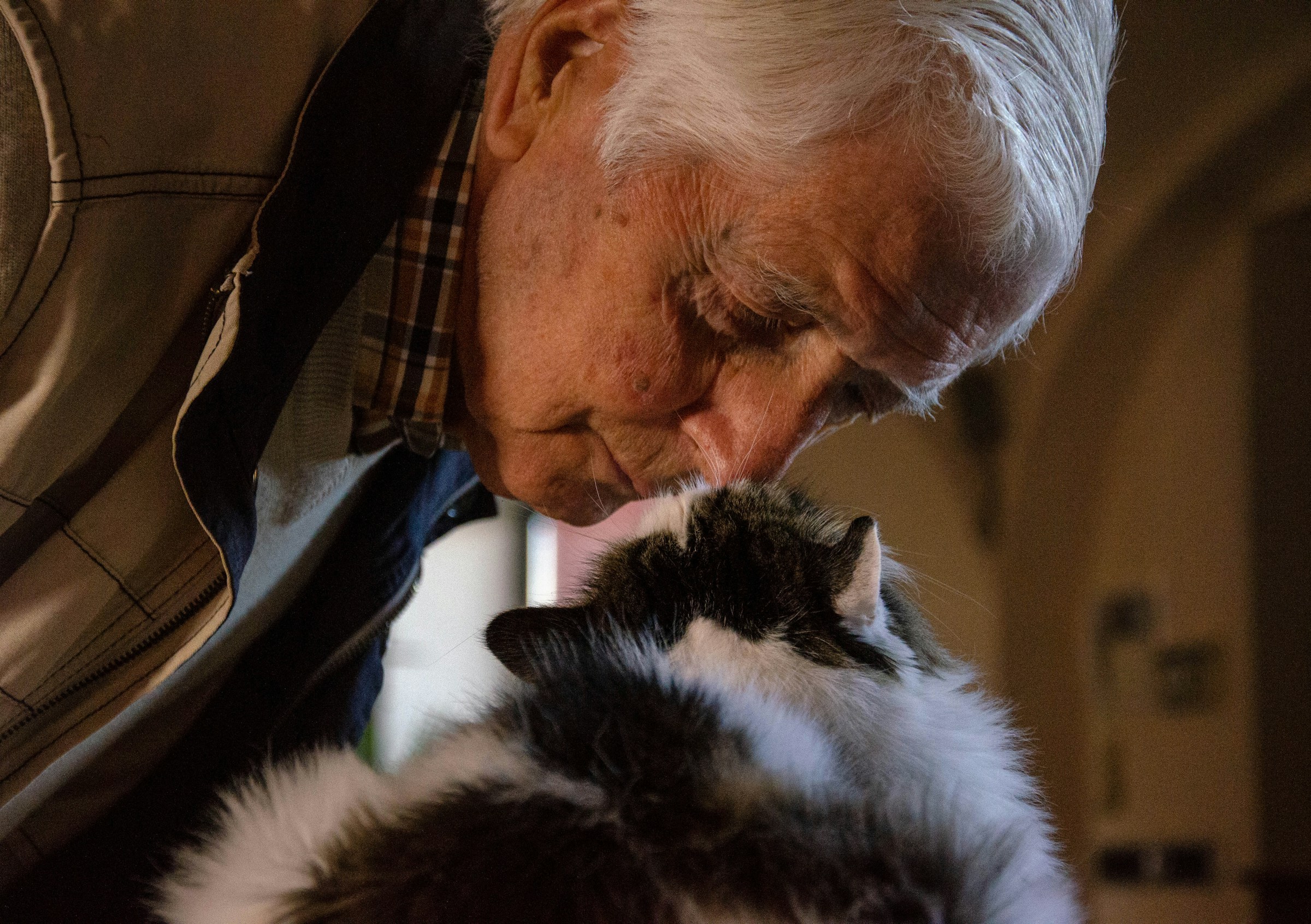 Ein alter Mann mit einer Katze | Quelle: Unsplash