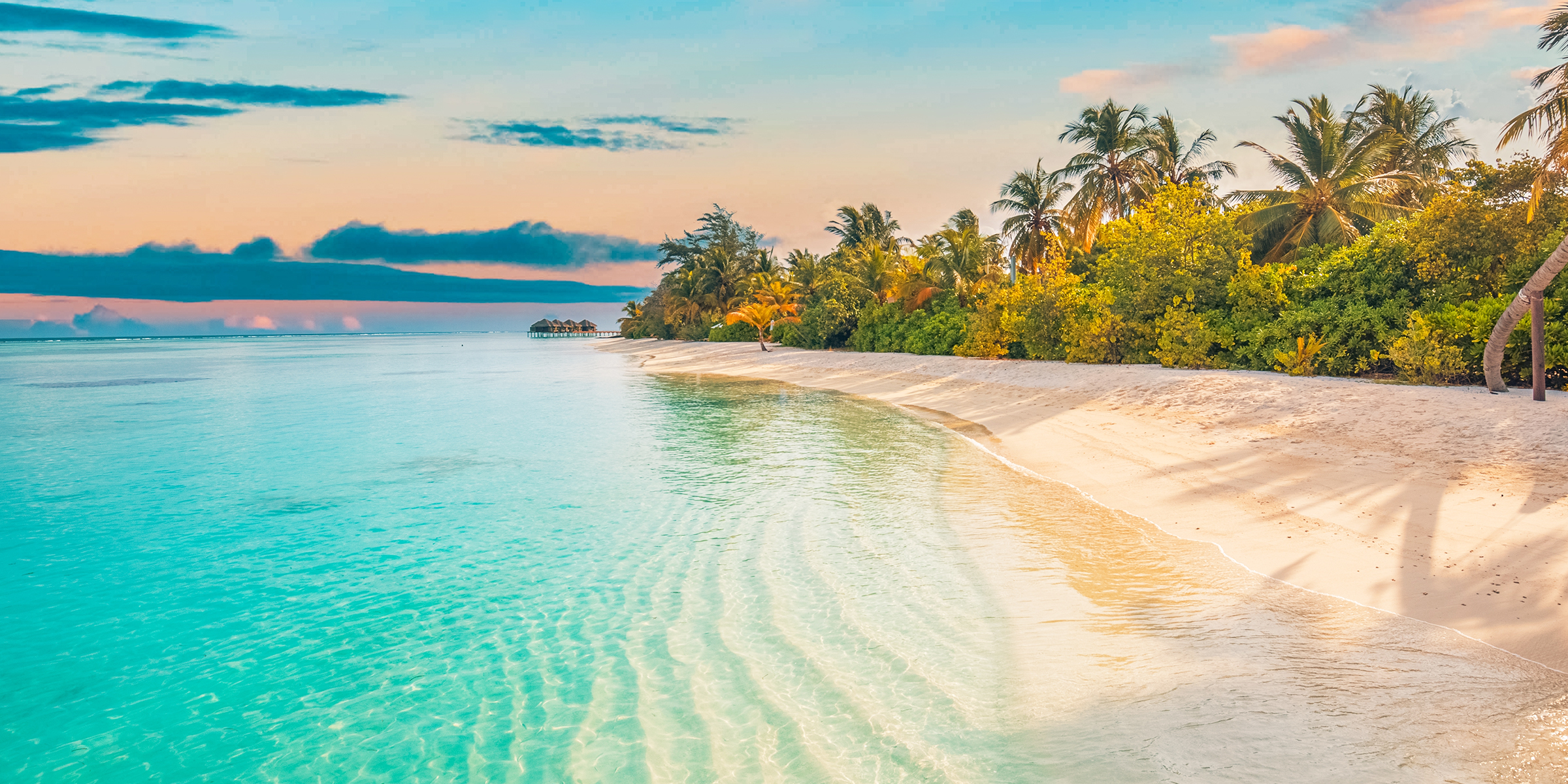 Ein unberührter Strand | Quelle: Shutterstock