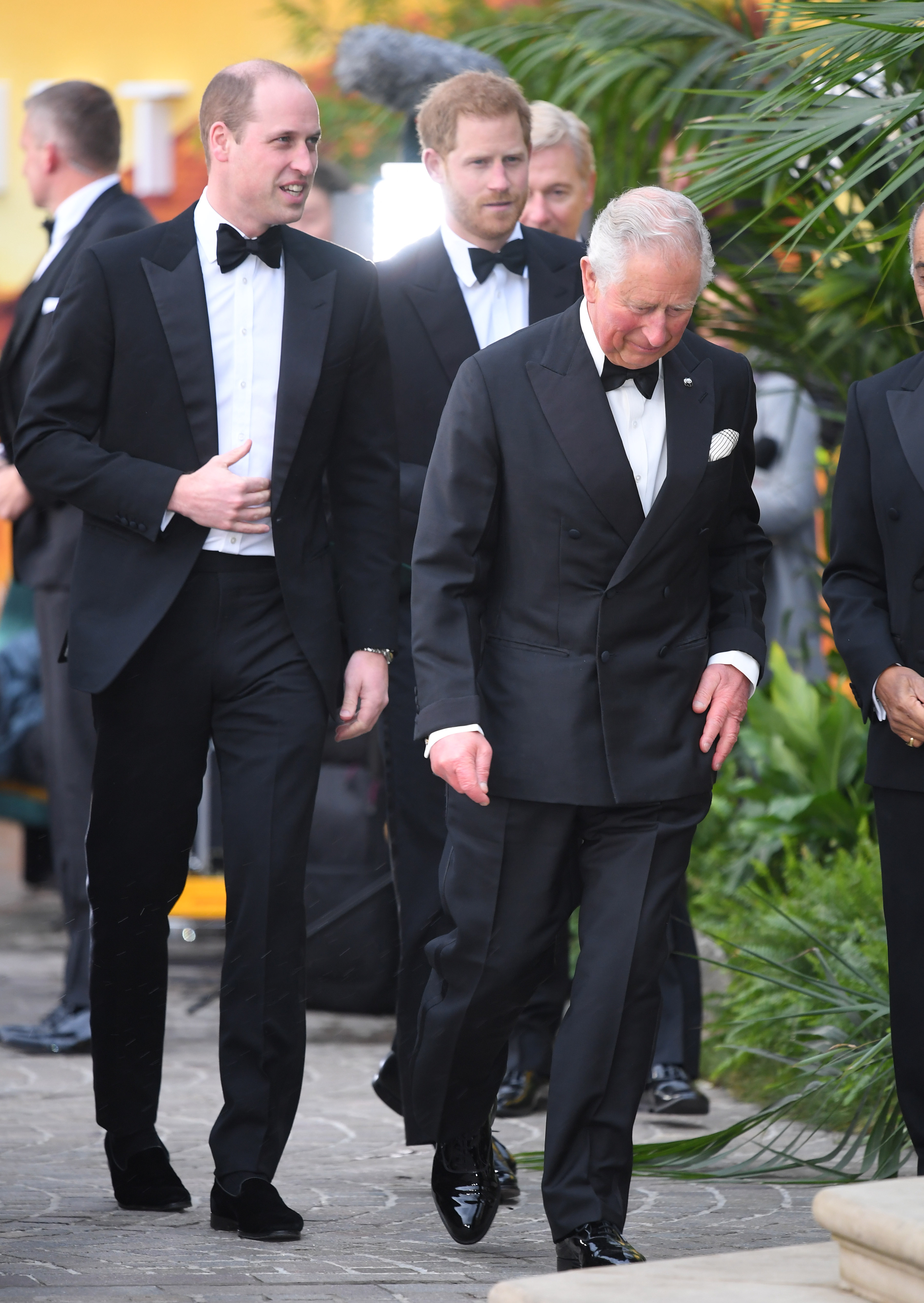 Prinz William, Prinz Harry und König Charles besuchen die Weltpremiere von "Our Planet" am 4. April 2019 in London, England. | Quelle: Getty Images