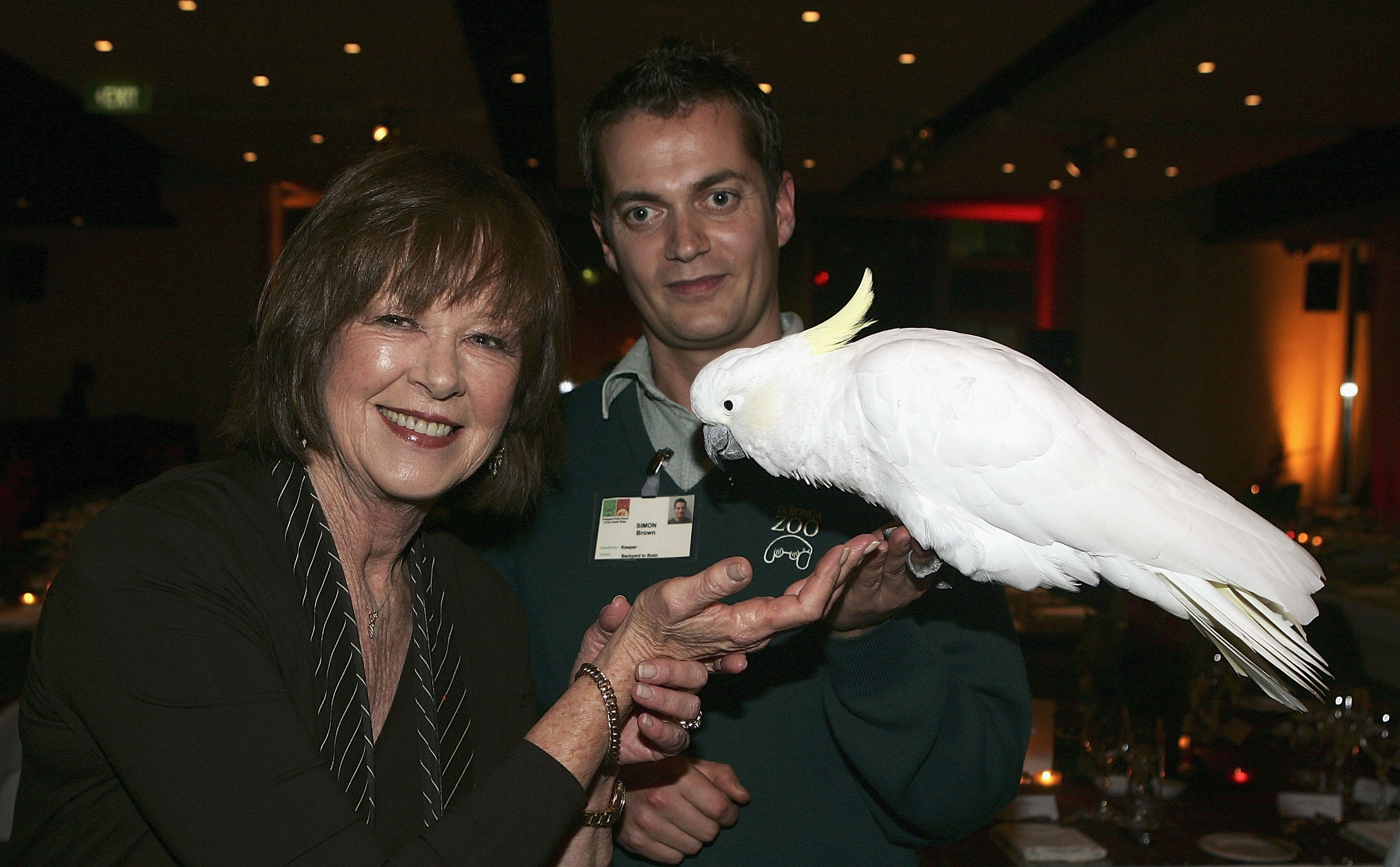 Janelle Anne Kidman versucht, den weißen Kakadu Elliot zu füttern, der von Zoowärter Simon Brown am 30. Juni 2005 in Sydney, Australien, gehalten wird | Quelle: Getty Images