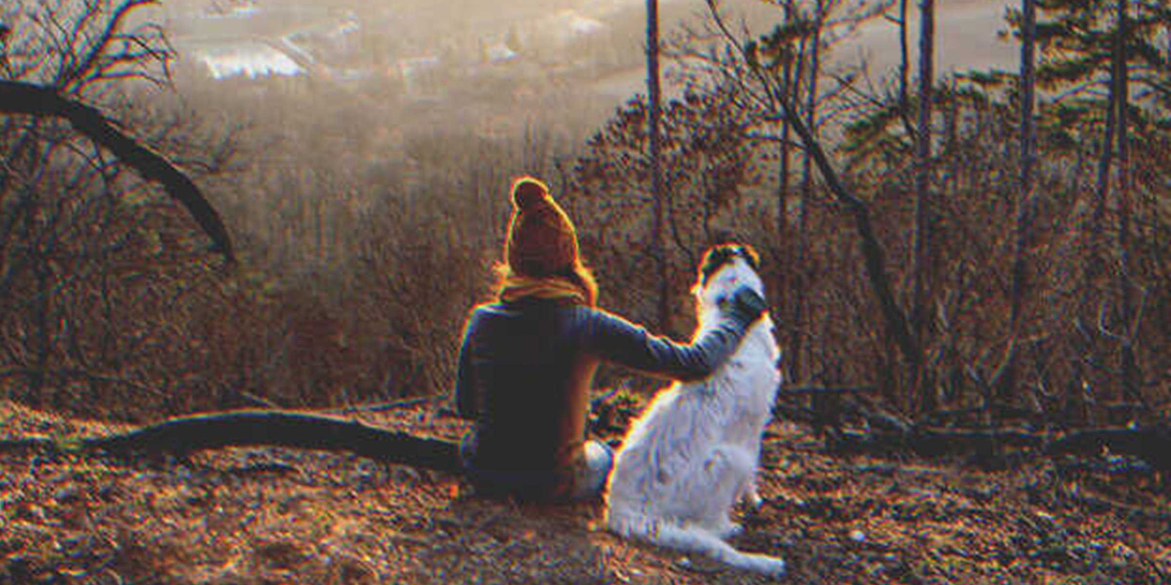 Eine Frau mit einem Hund im Wald | Quelle: Shutterstock