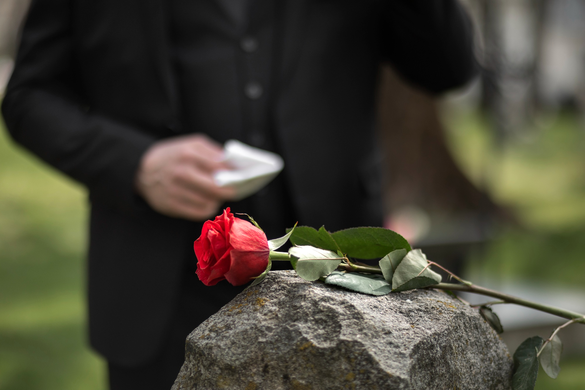 Eine Rose auf einem Grabstein | Quelle: Freepik