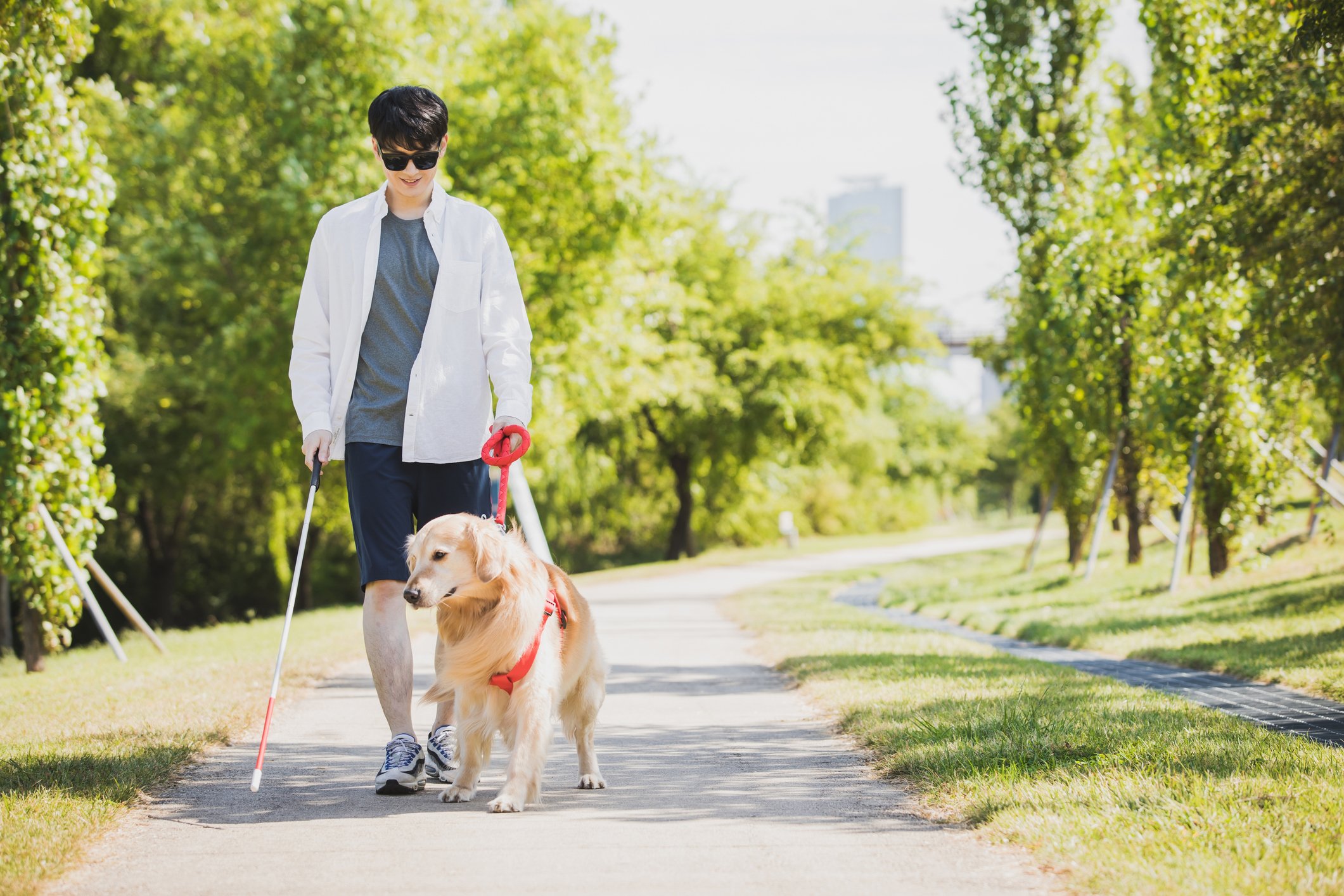 Ein Blindenhund und ein blinder Mann machen einen Spaziergang I Quelle: Getty Images