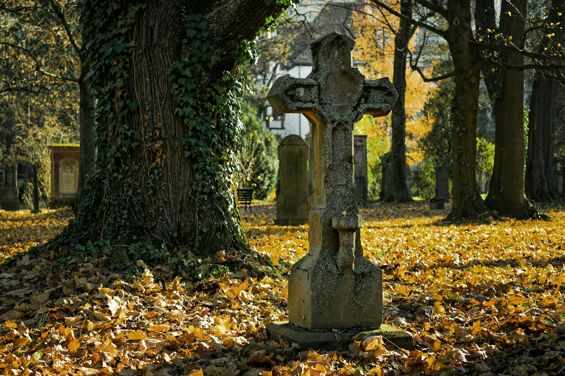 Ein Betonkreuz auf einem Friedhof | Quelle: Pexels