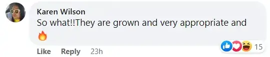 Ein Screenshot eines positiven Kommentars, den Sasha und Malia Obama für ihre Outfits auf der After-Party von Drake erhielten. | Quelle: facebook.com/pagesix