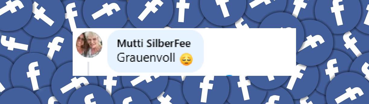 Internetnutzer kommentieren den Vorfall | Quelle: facebook.com/bild/posts/pfbid02NvkziYXFyENjDrvEEKFrxqsKSq9m7xcBNrcdY8PYZPmR5szFESmG4XhoUJniRFtpl?comment_id=1481152313007985