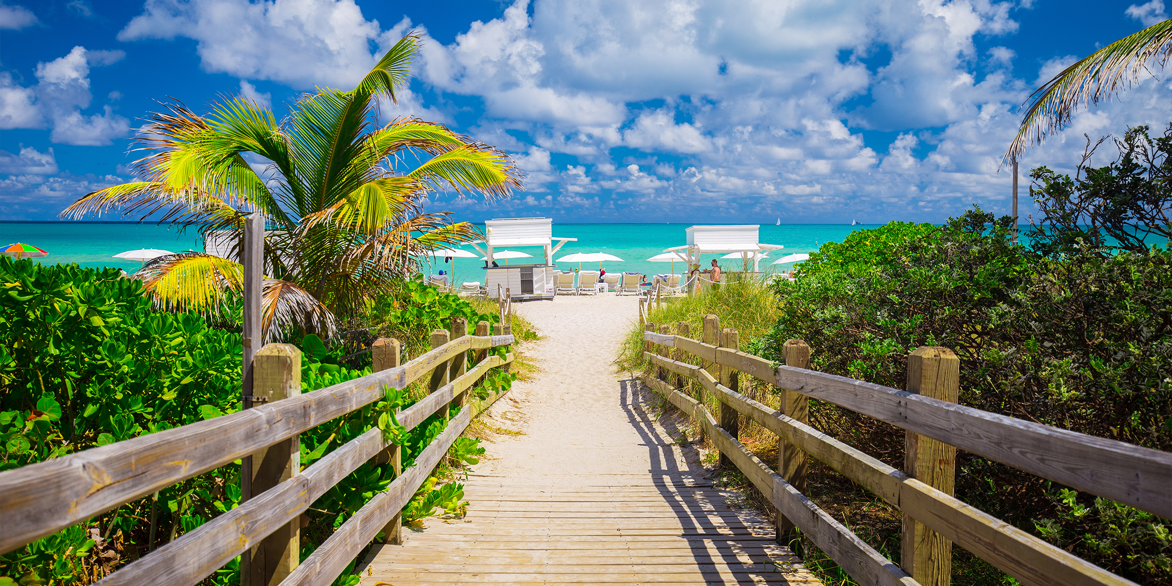 Ein Weg, der zu einem Strand führt | Quelle: Shutterstock