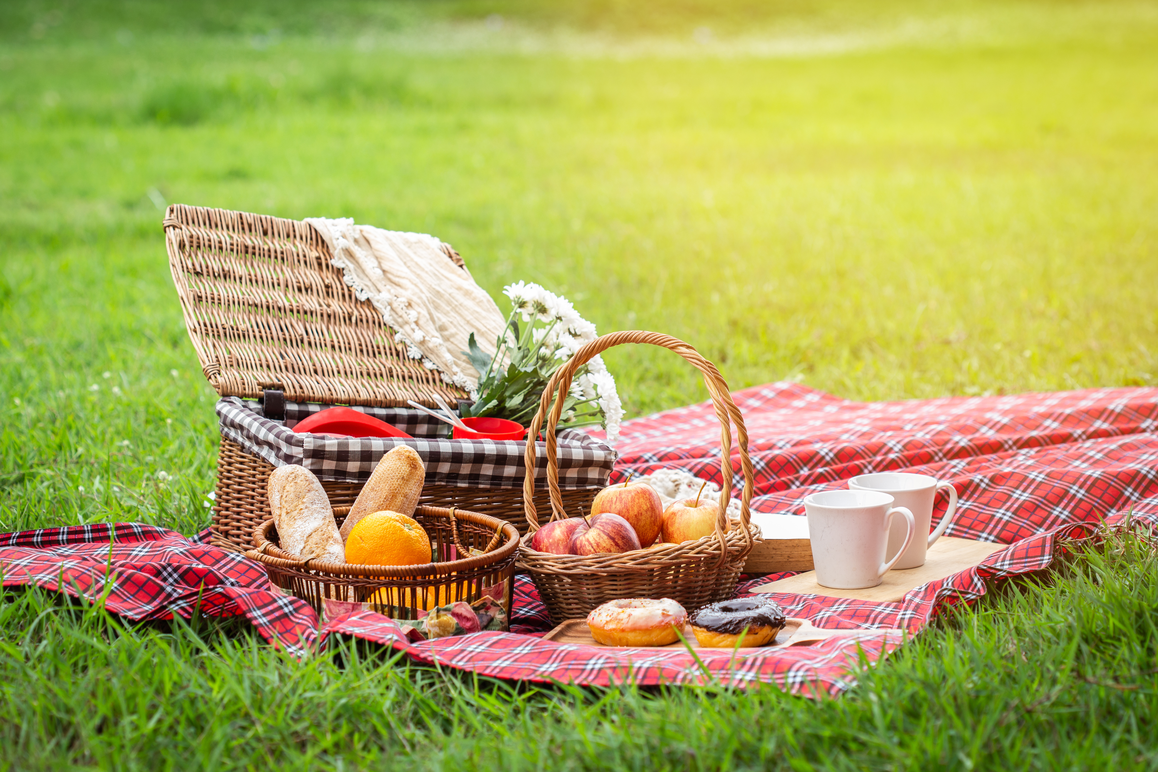Picknick auf der Wiese | Shutterstock
