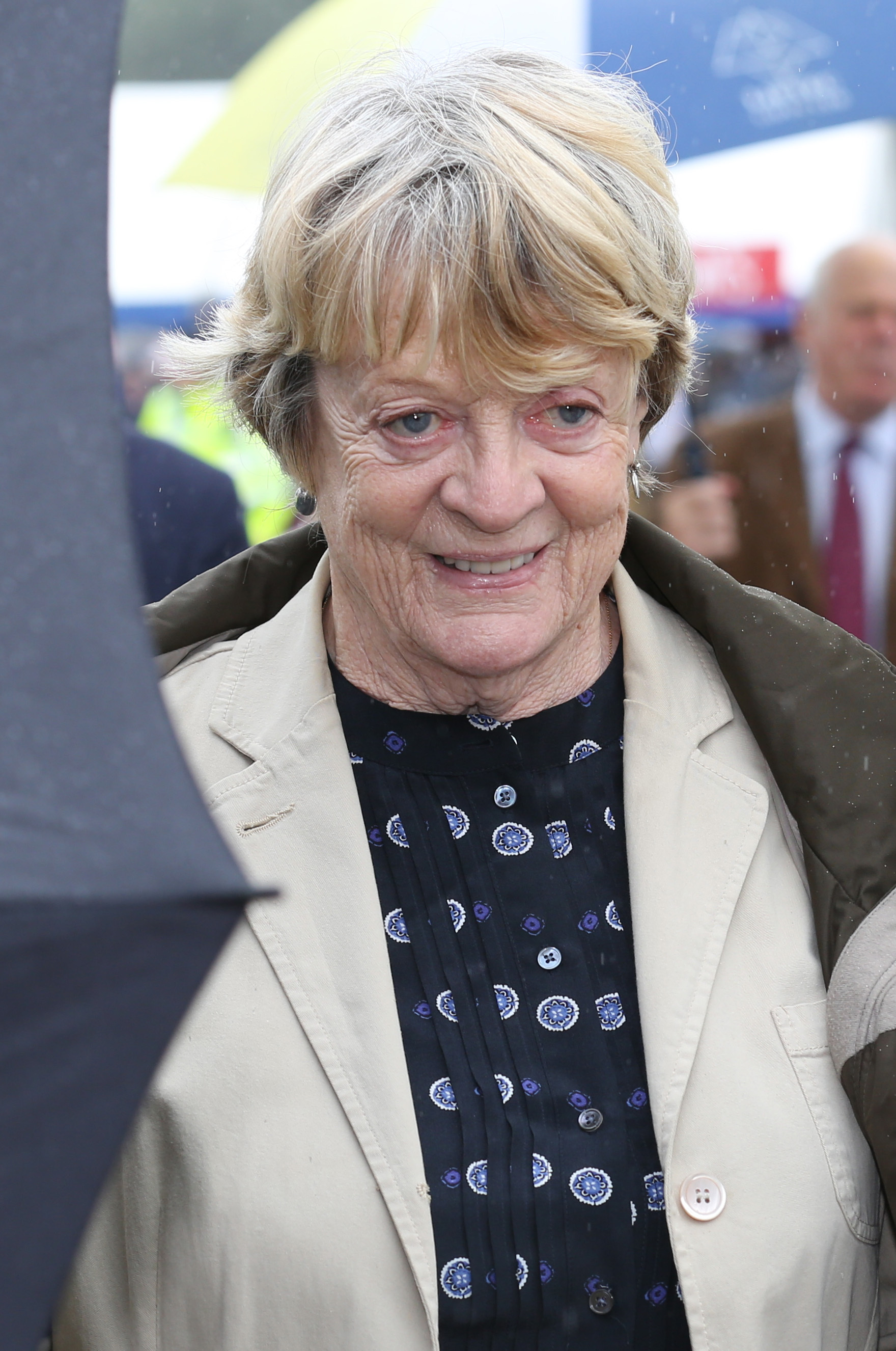 Maggie Smith bei der 132. Sandringham Flower Show am 31. Juli 2013 in Norfolk, England. | Quelle: Getty Images