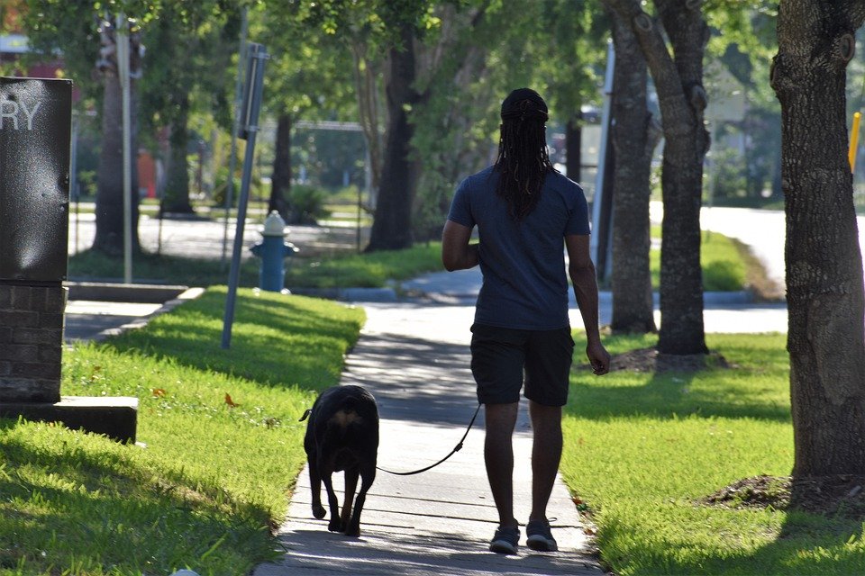 Ein Foto von einem Mann, der mit seinem Hund spazieren geht. | Quelle: Pexels