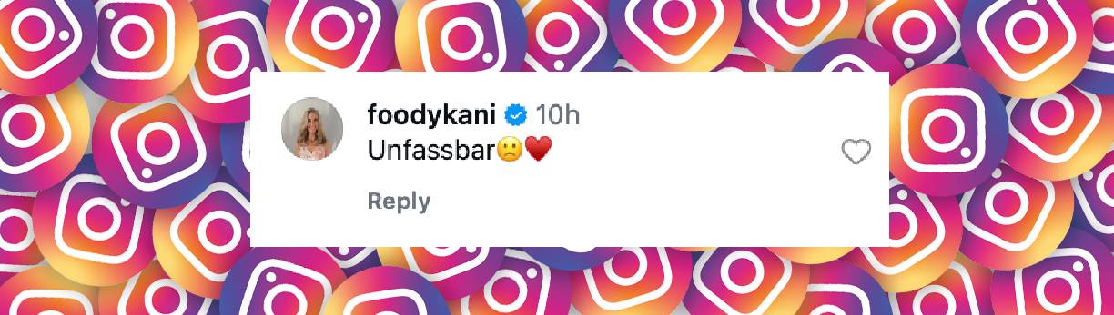 Instagram-Kommentar | Quelle: instagram.com/adelinazilai