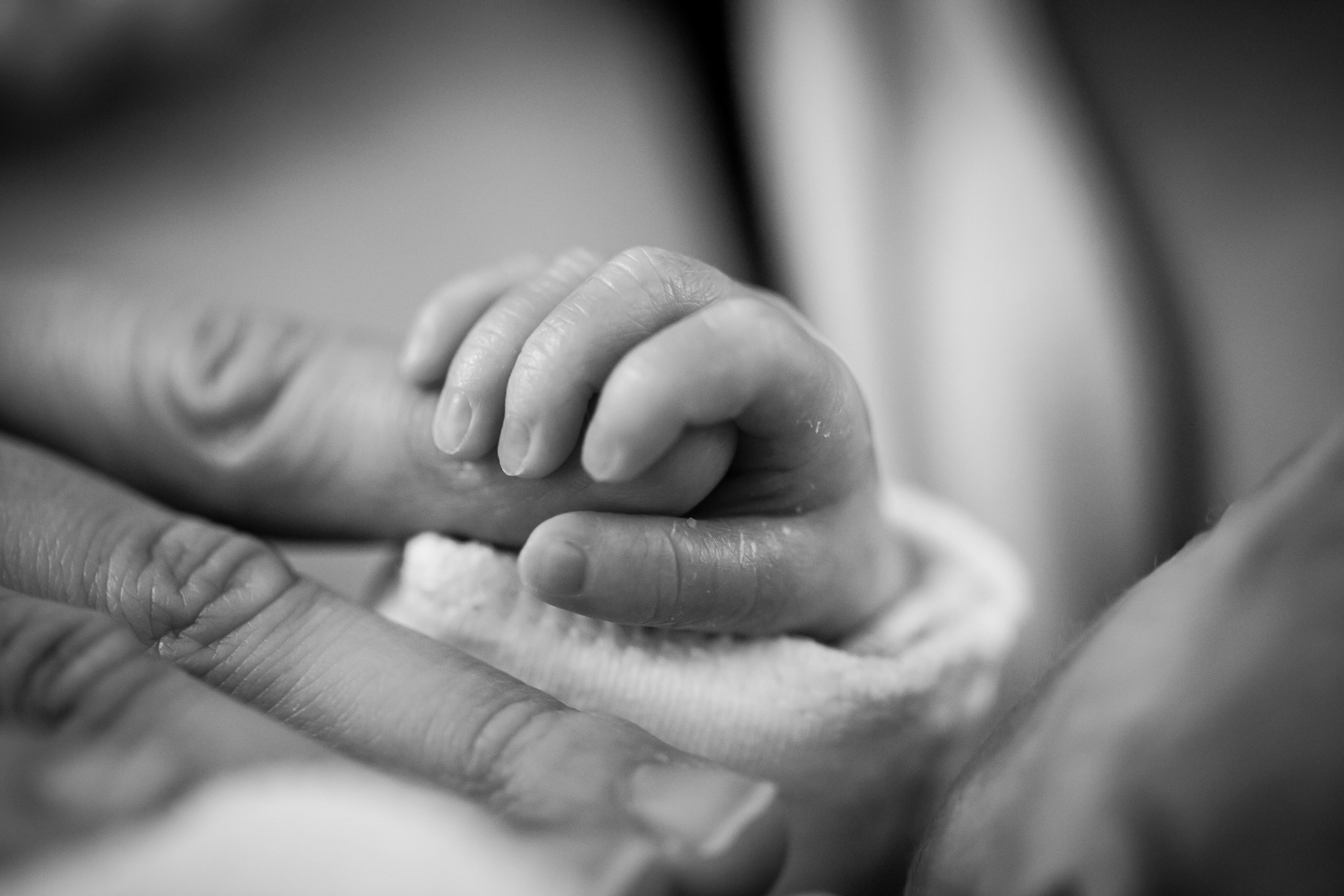 Ein Neugeborenes hält den Finger seines Vaters. Nur zu Illustrationszwecken | Quelle: Pexels
