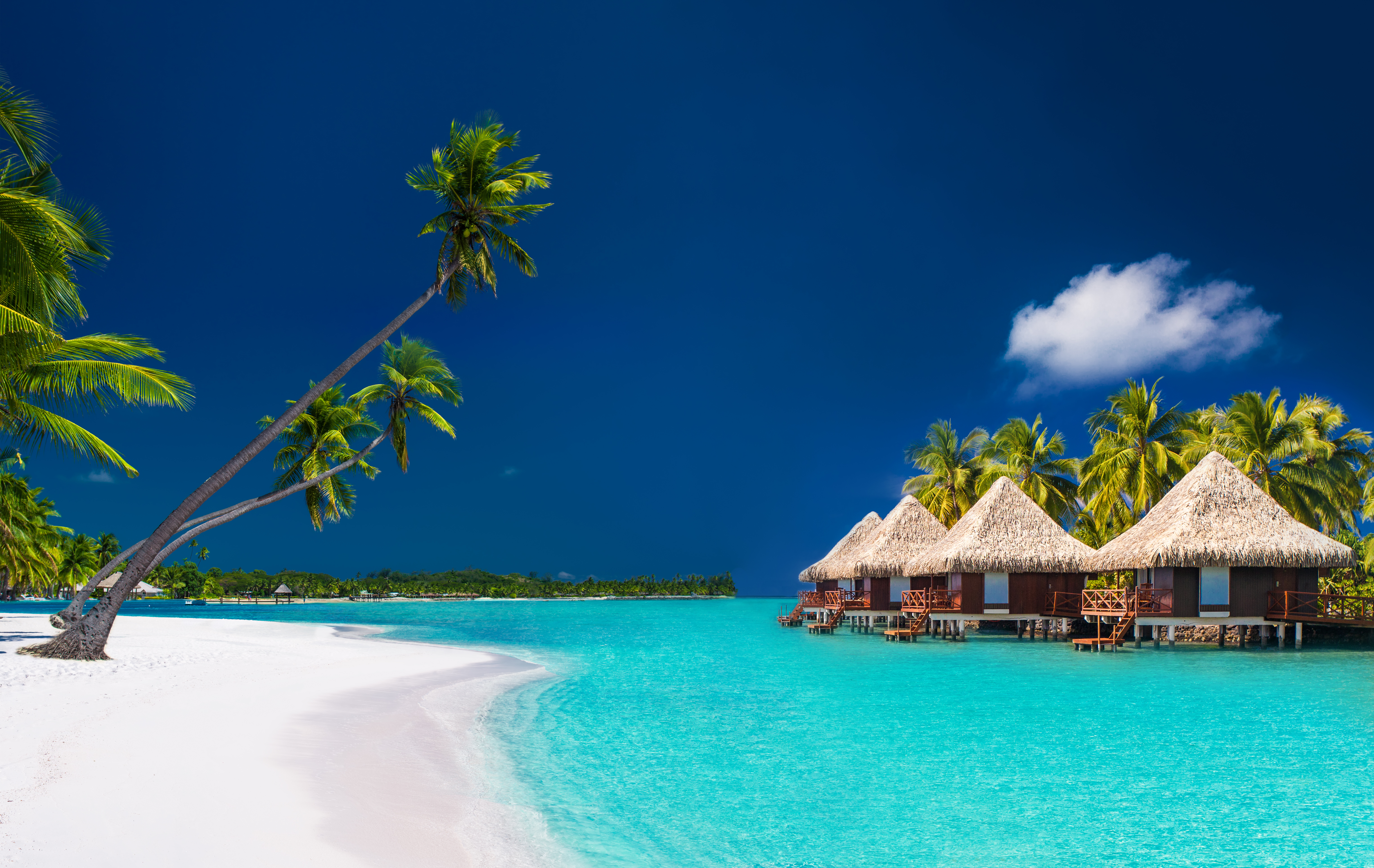 Villen am Strand in Bora Bora | Quelle: Shutterstock