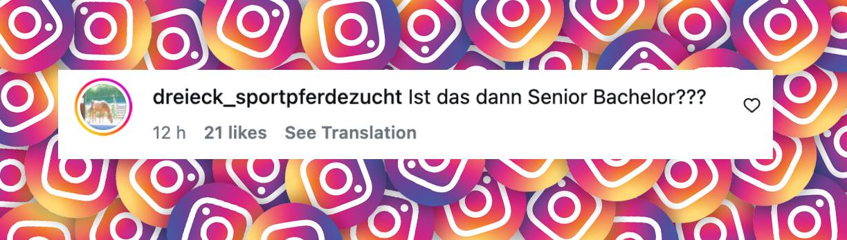 Kommentare zum neuen „Bachelor“-Kandidaten | Quelle: instagram.com/p/DXunF6Vguvx/