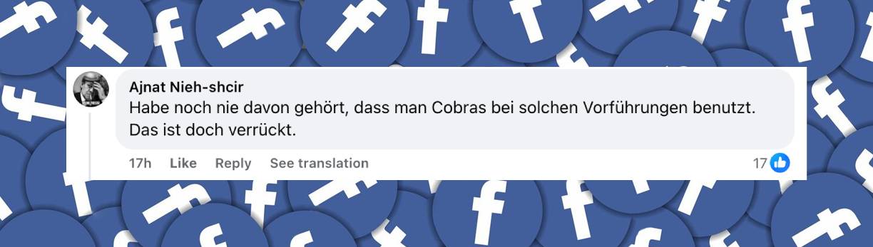 Ein Nutzerkommentar | Quelle: facebook.com/bild