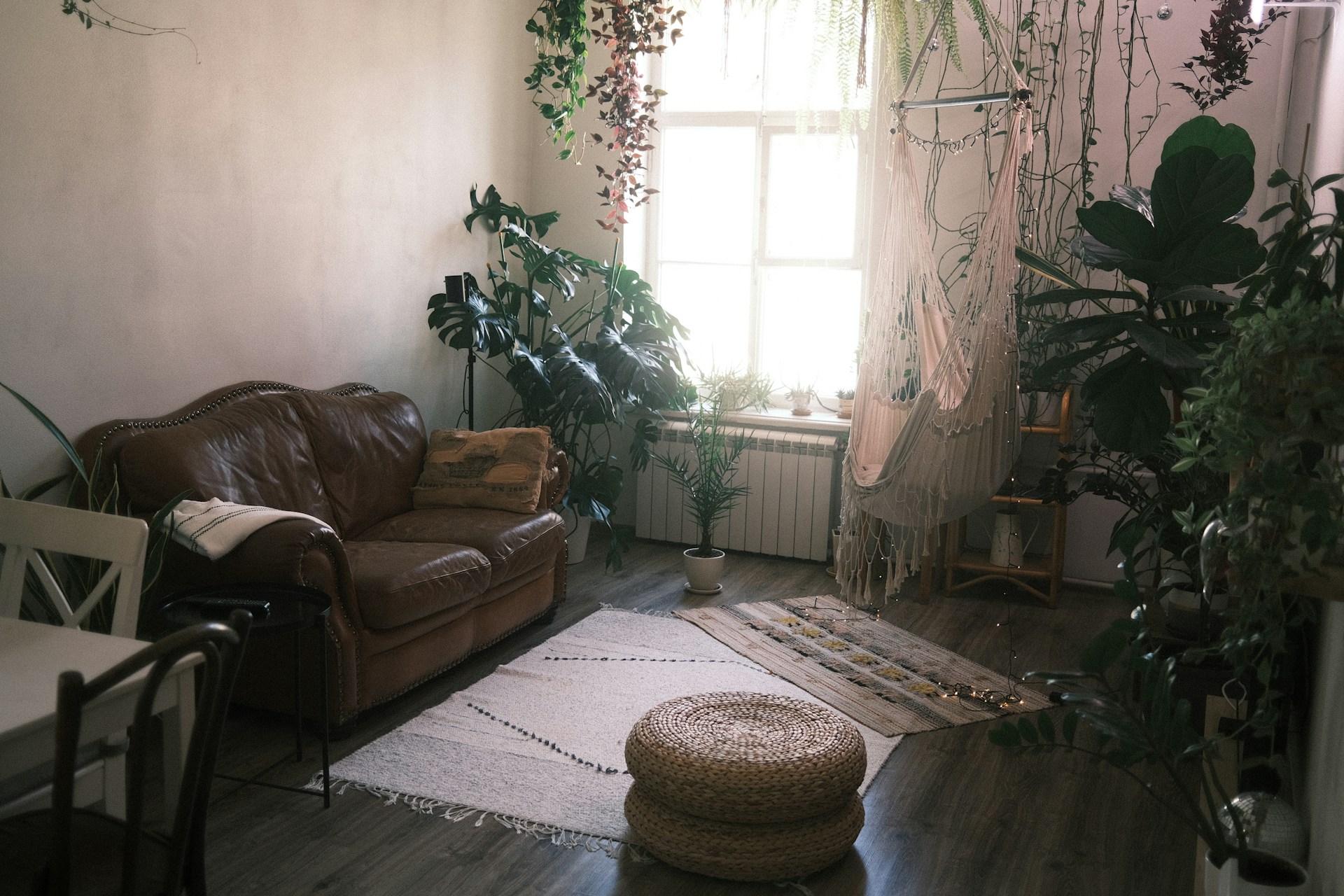 Ein elegantes Wohnzimmer mit Zimmerpflanzen | Quelle: Unsplash