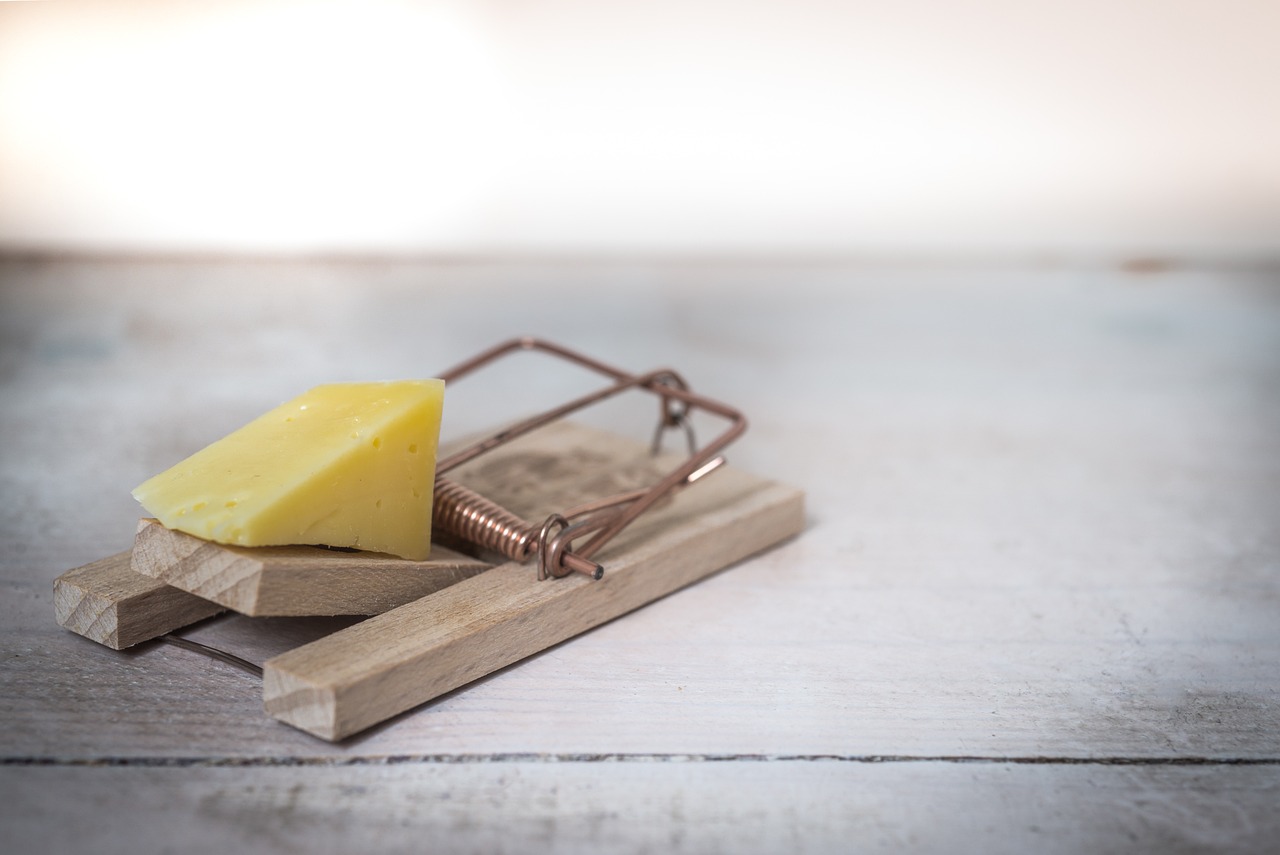 Mausefalle mit Käse | Quelle: Pixabay