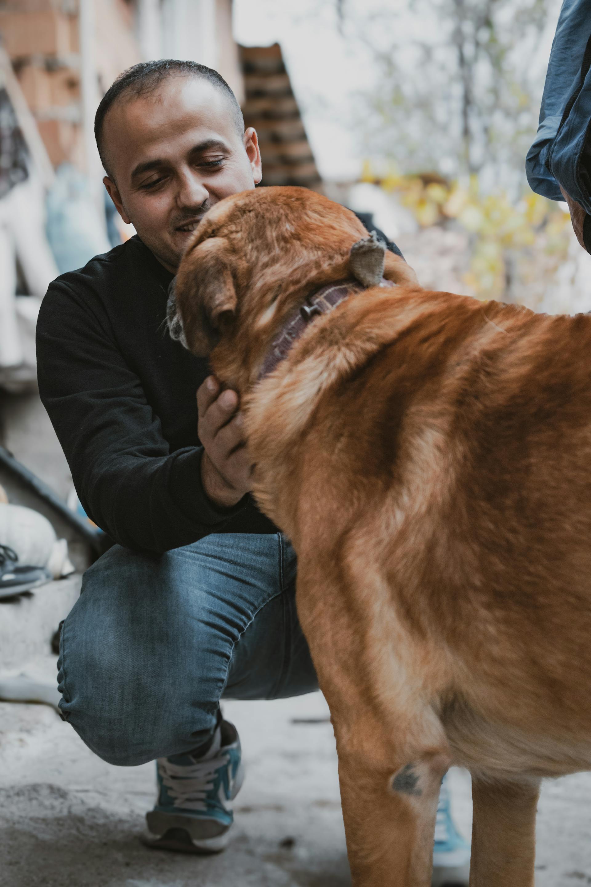 Ein Mann, der sich hinhockt und einen Hund streichelt | Quelle: Pexels