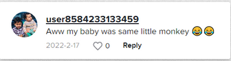 Ein positiver Kommentar über Britneys Baby | Quelle: tiktok.com/@britneyisthebest_