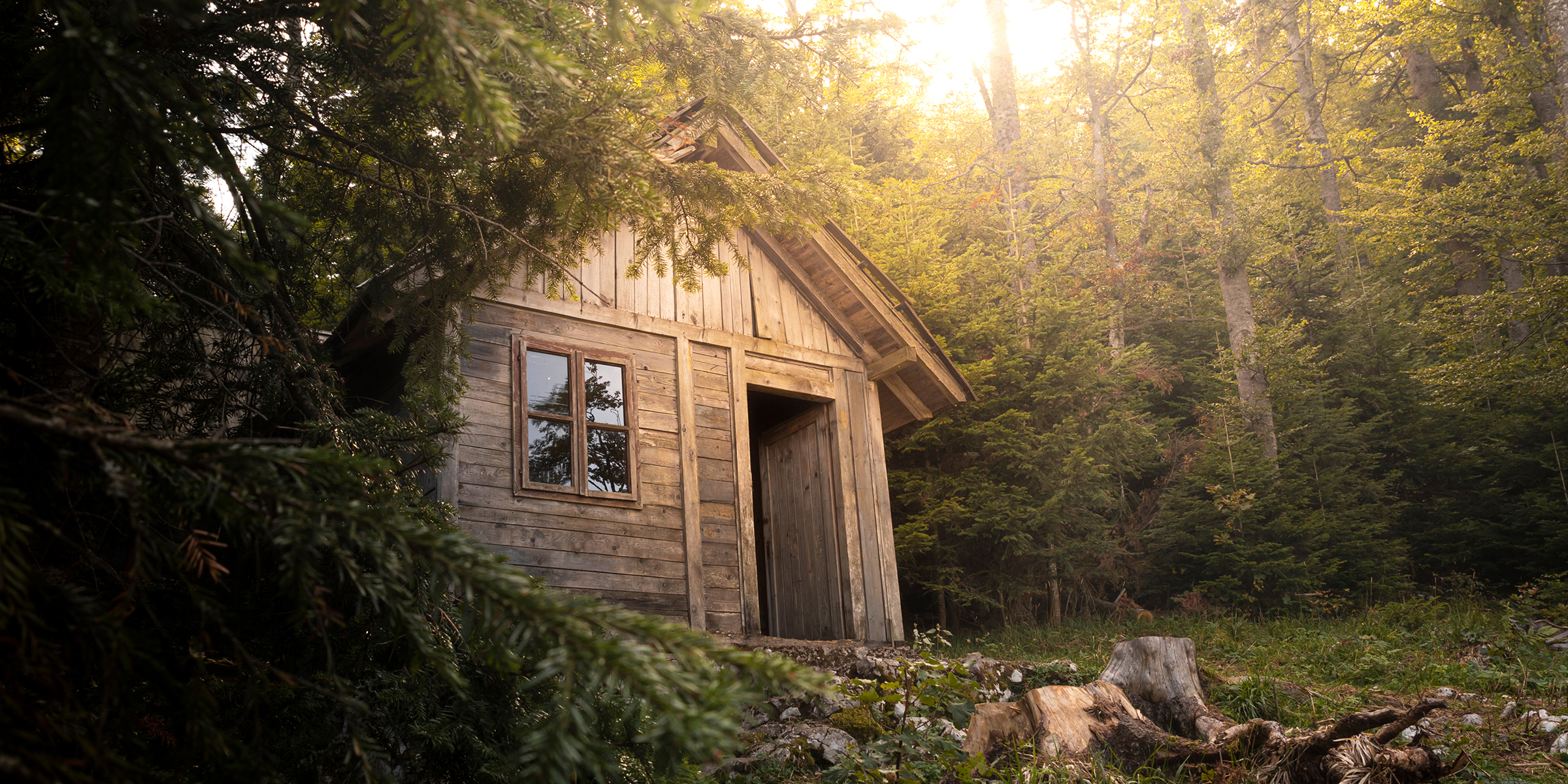 Eine kleine Hütte im Wald | Quelle: Shutterstock