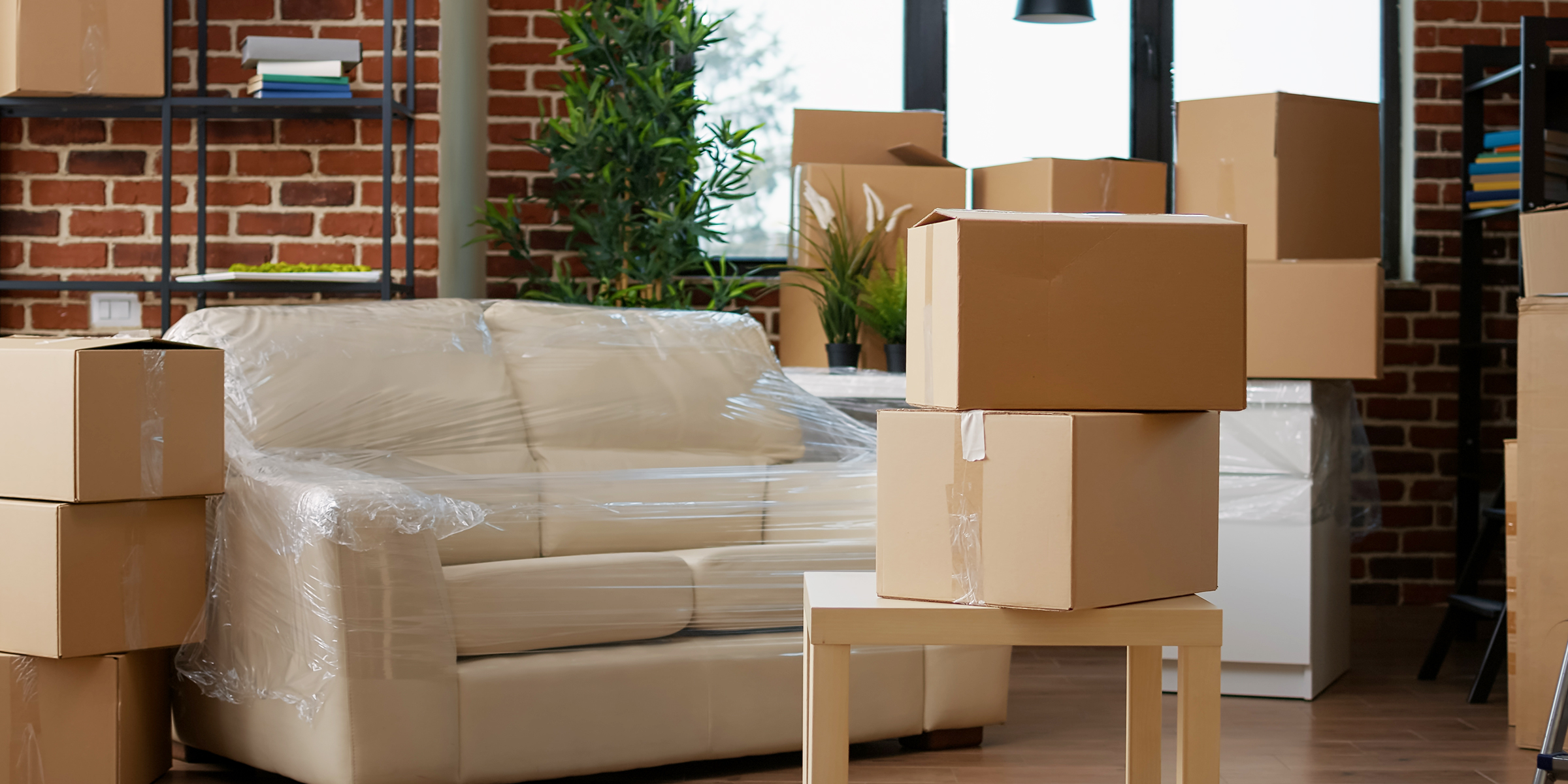 Gepackte Kartons und eine Couch für den Umzug | Quelle: Shutterstock