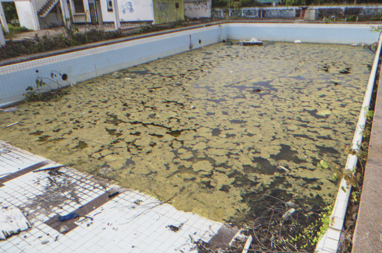 Ein schmutziger Pool | Quelle: Shutterstock