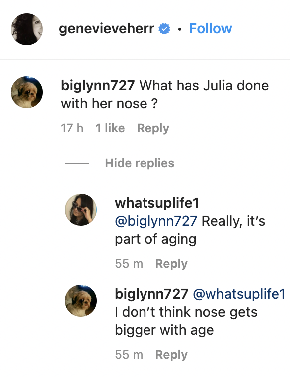 Der Kommentar eines Fans zu Genevieve Herrs Post über Julia Roberts als Gesicht von Chopard am 16. März 2023 | Quelle: Instagram/genevieveherr