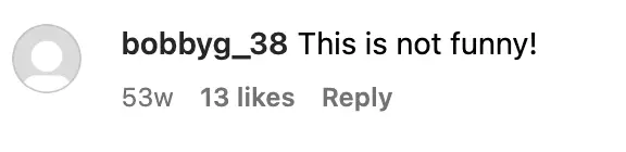 Screenshot eines Kommentars zu einem Instagram-Post der Familie | Quelle: Instagram/TheRosenthals