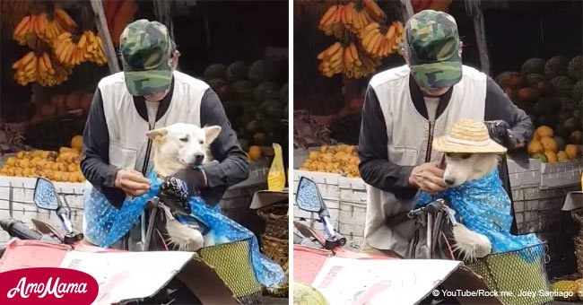Ein älterer Hundebesitzer kreierte seinem Vierbeiner einen Regenmantel