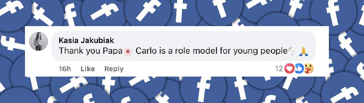 Ein Fan-Kommentar vom 13. Juni 2025 | Quelle: Facebook/vaticannews