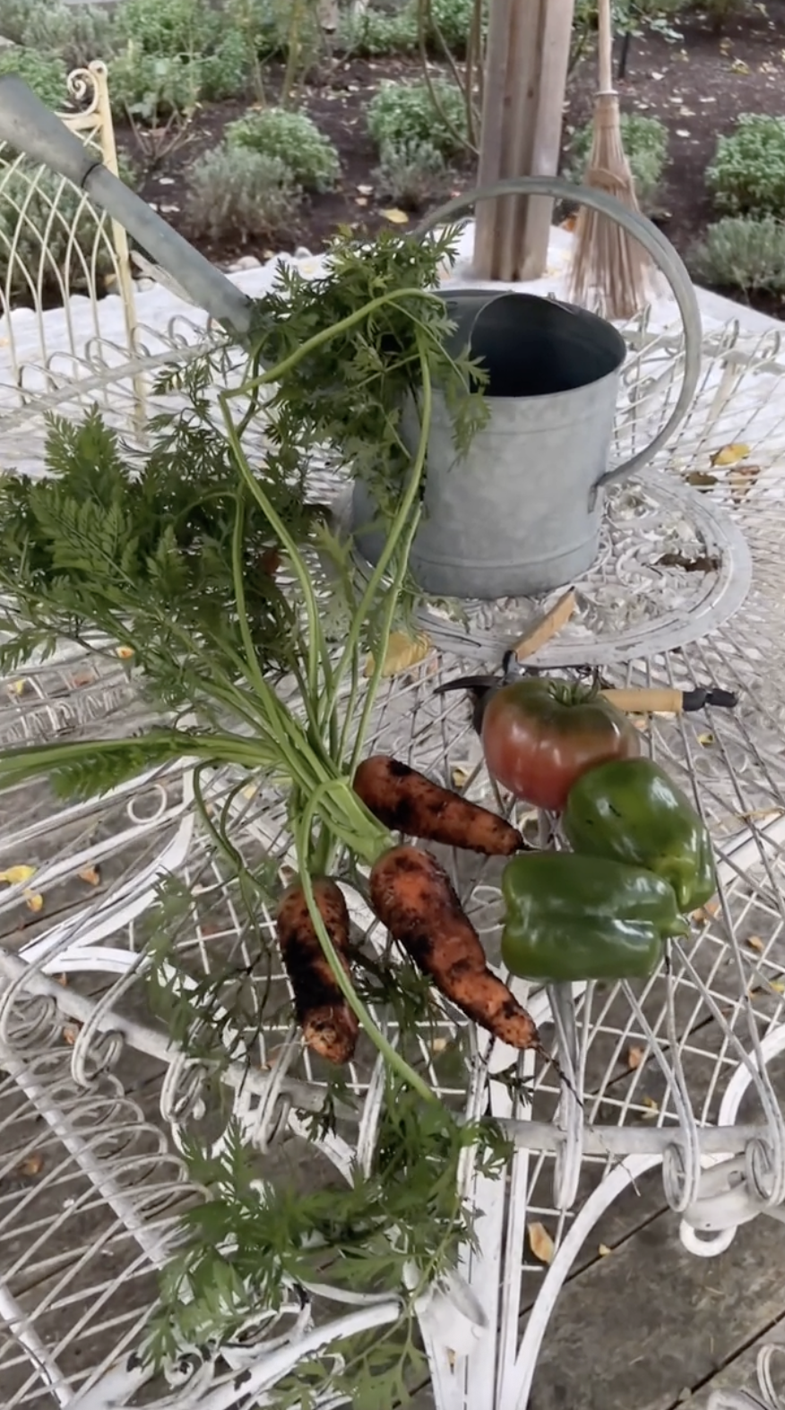 Frisch geerntetes Gartengemüse liegt auf einem verzierten weißen Schmiedeeisen-Terrassentisch im Arcady, daneben stehen eine Gartenschere und eine alte verzinkte Gießkanne. Mit grünen, blättrigen ganzen Möhren, knackigen grünen Paprikaschoten und einer reifen Heirloom-Tomate, die bei der saisonalen Pflege der Beete geerntet wurde, fängt diese rustikale Szene die schlichte Fülle des Lebens auf dem Land ein. Sie hat den TikTok-Beitrag mit dem Kommentar versehen: „Ein wunderschöner Herbstmorgen im Garten … wieder ein Aufräumtag 🤍🍁“. | Quelle: TikTok/pamelaanderson