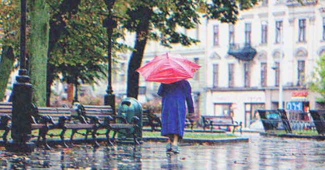Frau, die an einem regnerischen Tag mit einem Regenschirm spazieren geht | Quelle: Shutterstock