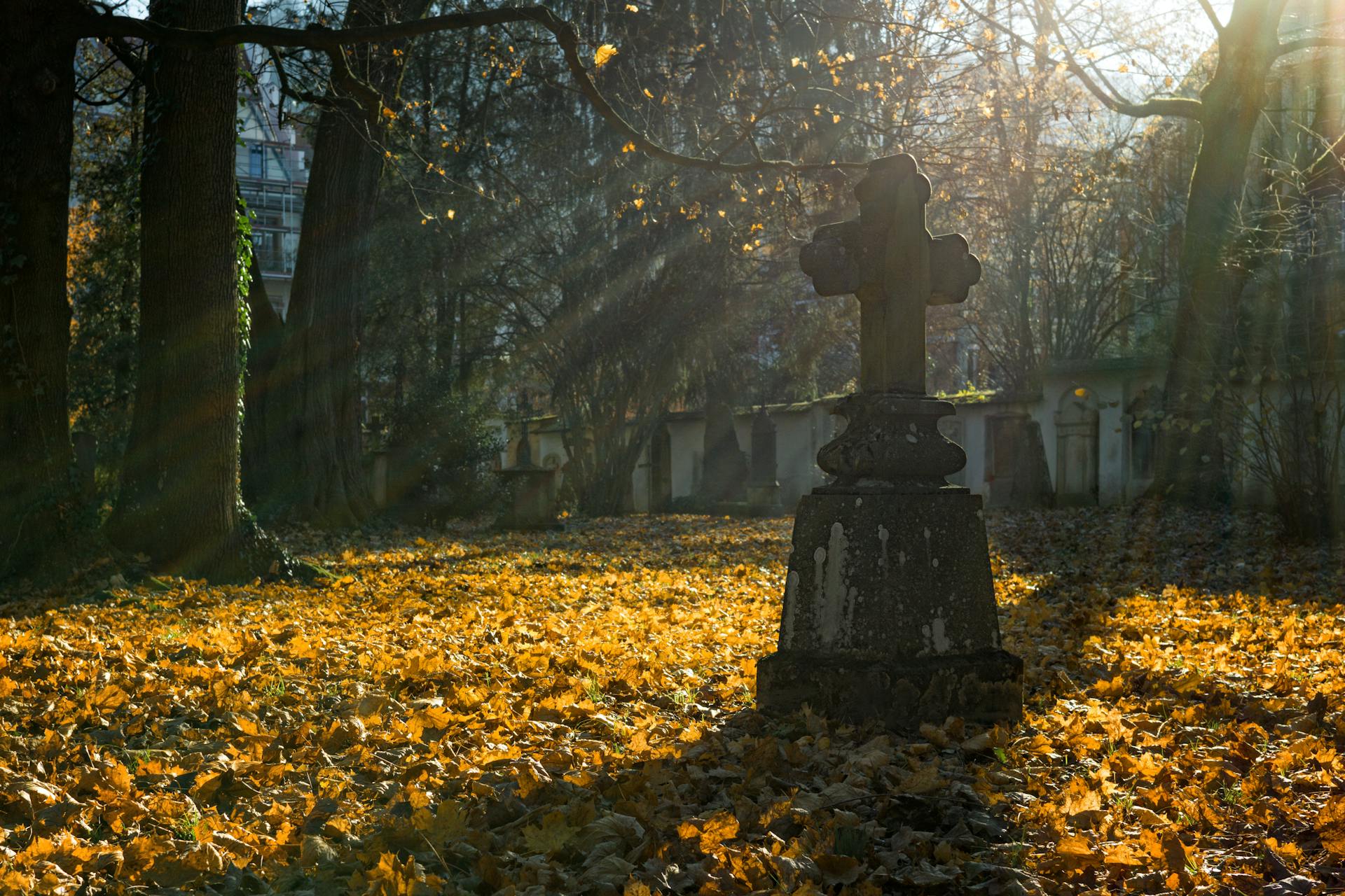 Sonnenstrahlen auf einem Friedhof | Quelle: Pexels