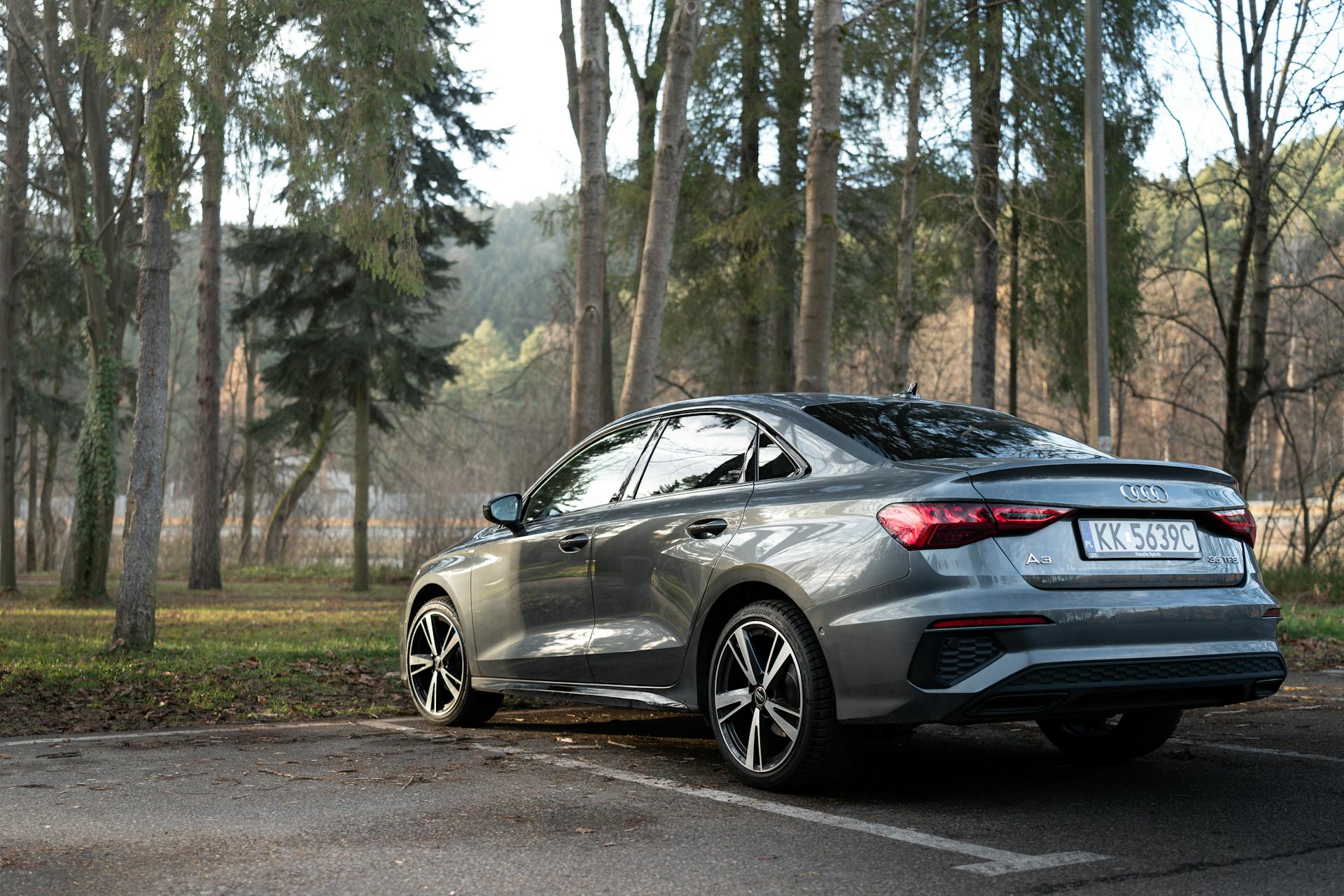 Ein Auto, das in der Nähe eines Parks geparkt ist | Quelle: Pexels