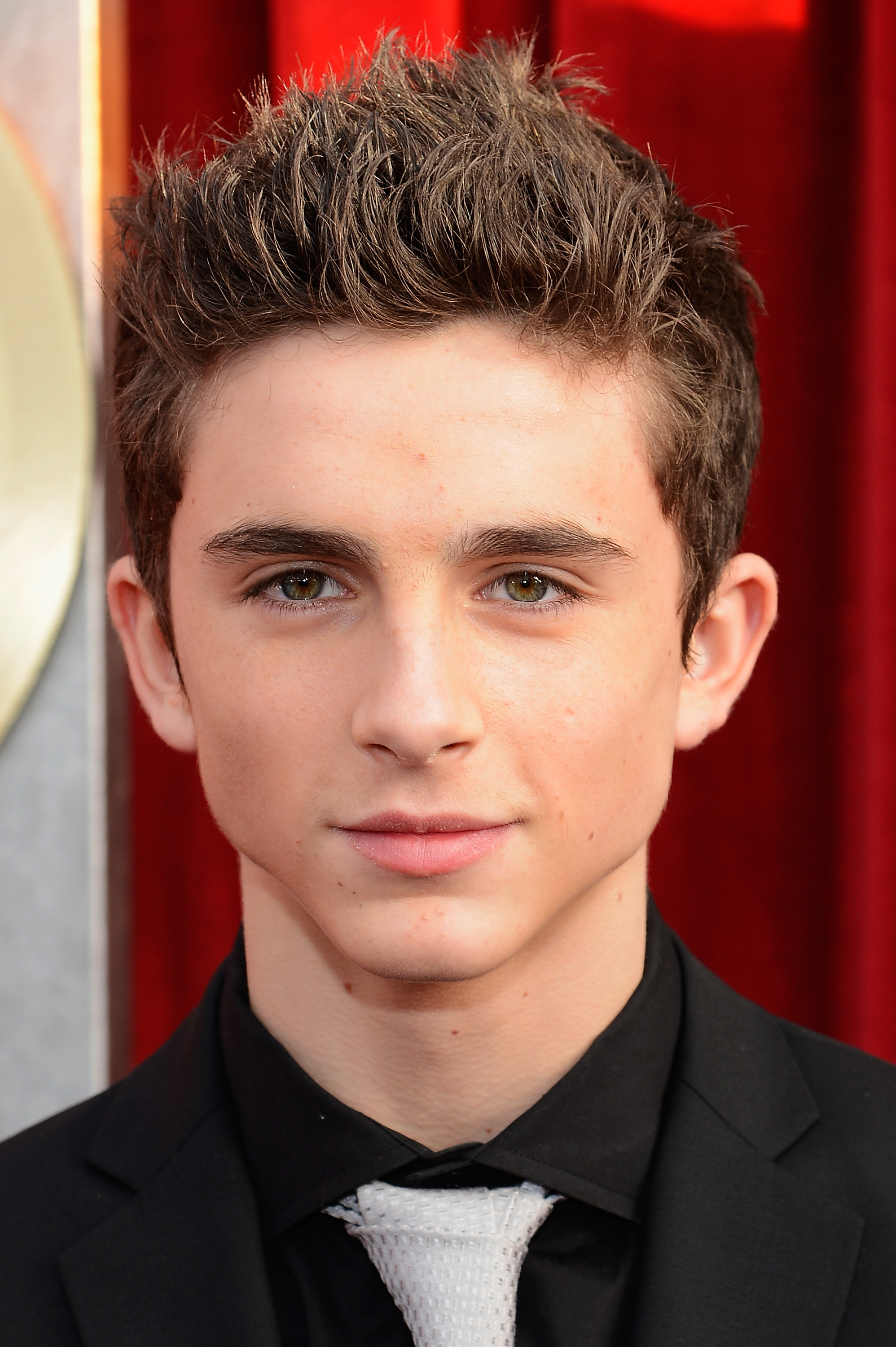 Timothee Chalamet kommt zur 19. Verleihung der Screen Actors Guild Awards im Shrine Auditorium am 27. Januar 2013 in Los Angeles, Kalifornien | Quelle: Getty Images