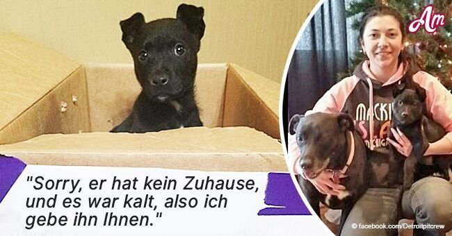Eine inspirierende Geschichte: Ein süßer Hund, der in einem Korb mit einem Zettel ausgesetzt wurde, wurde adoptiert