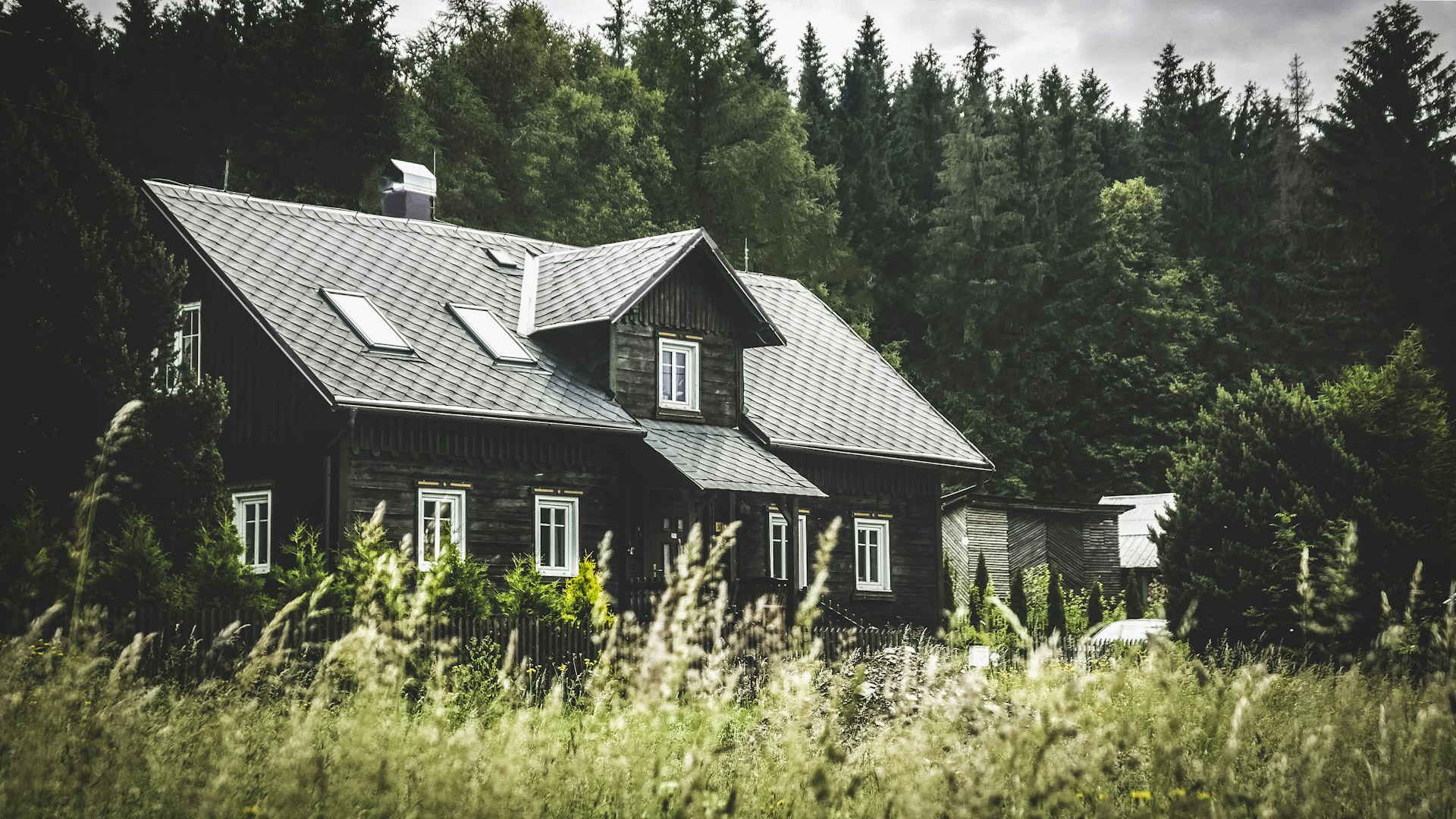 Ein Haus inmitten eines überwucherten Gartens und Kiefern | Quelle: Unsplash