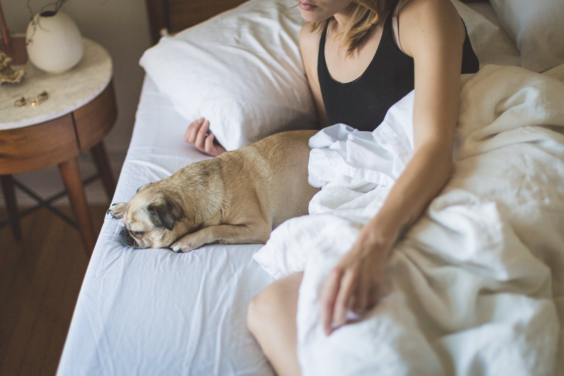 Frau und Hund im Bett | Quelle: Pexels