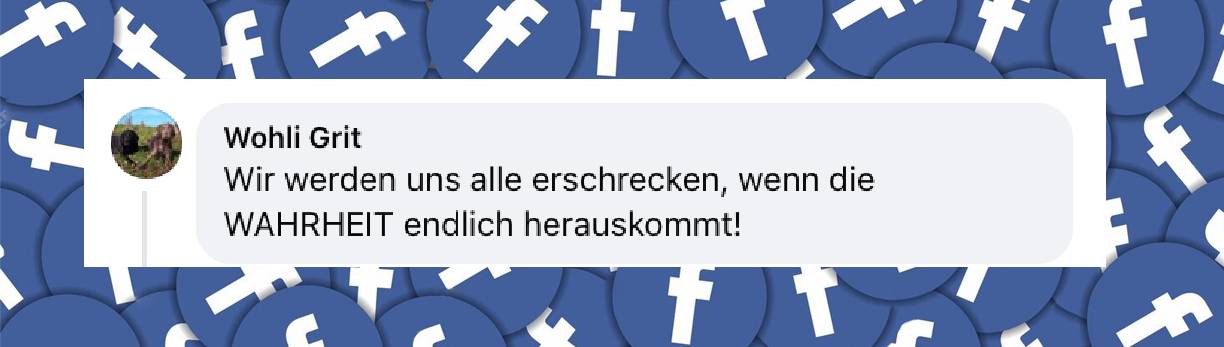 Reaktionen von Internetnutzern auf die Einzelheiten des vierten Verhandlungstages im Fall Fabian | Quelle: facebook.com/watch/?v=976816224836908